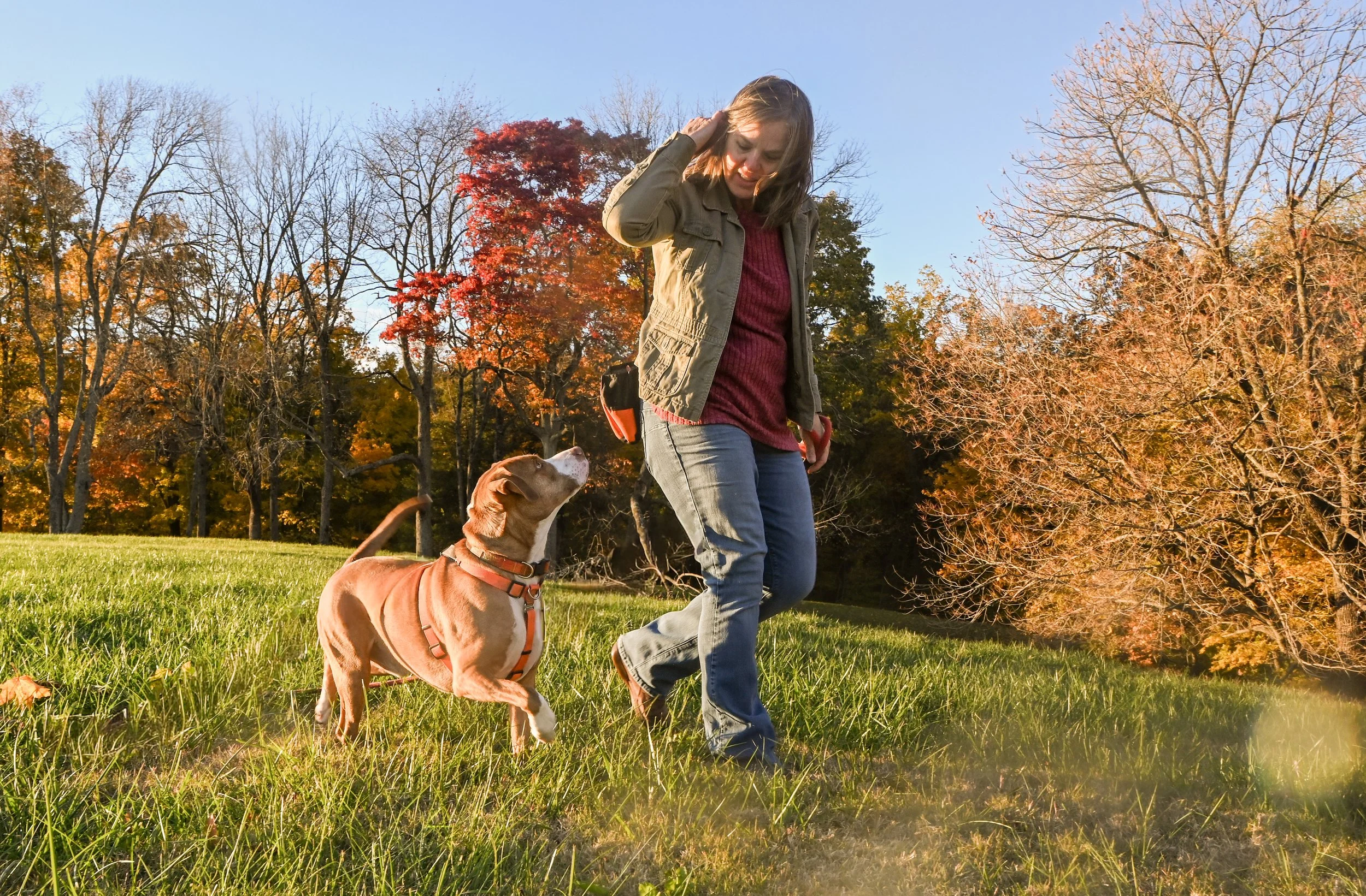 A woman and a dog playing in a park during autumn, with colorful fall foliage and trees in the background.