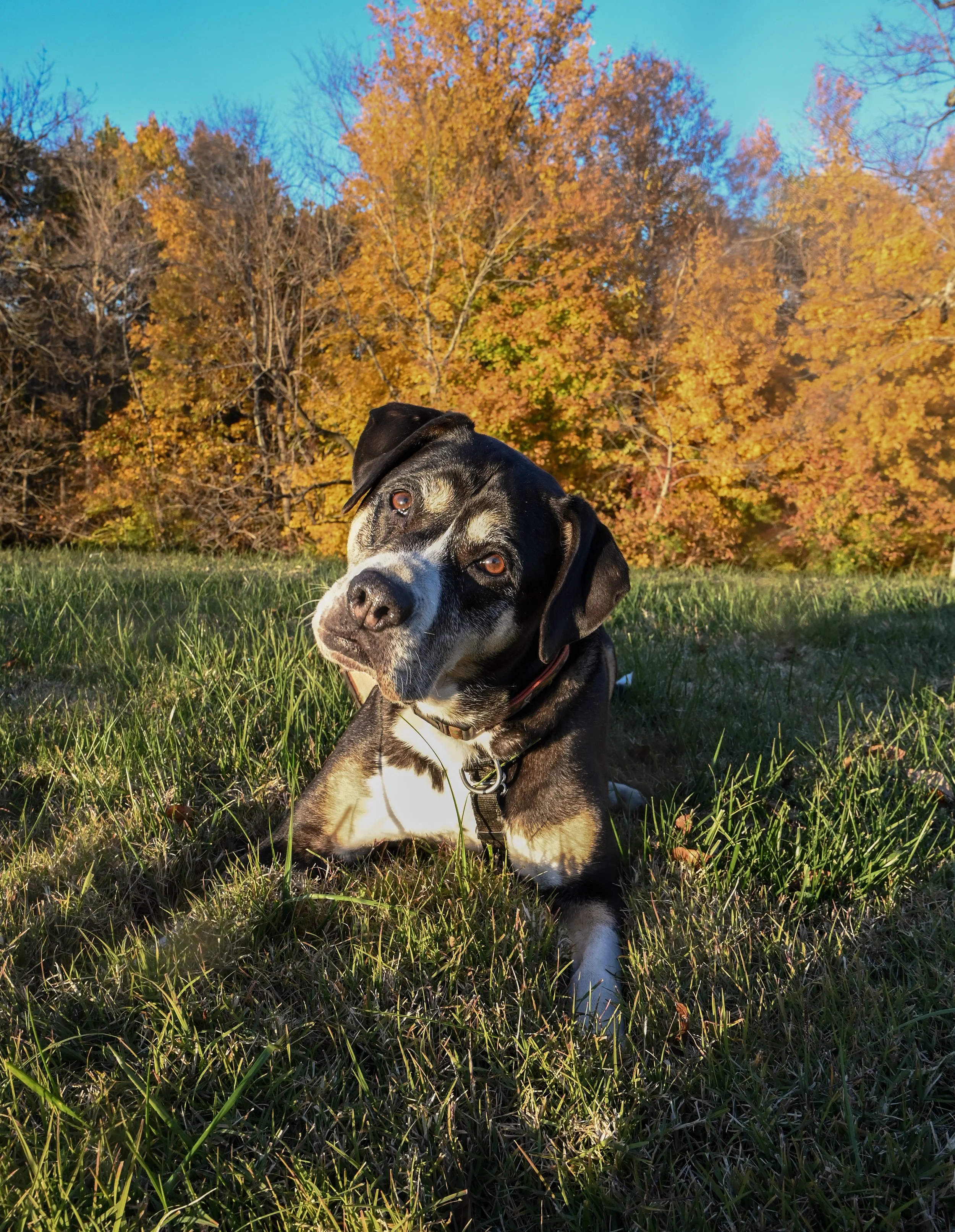 It’s Not Magic: You Have to Train for That