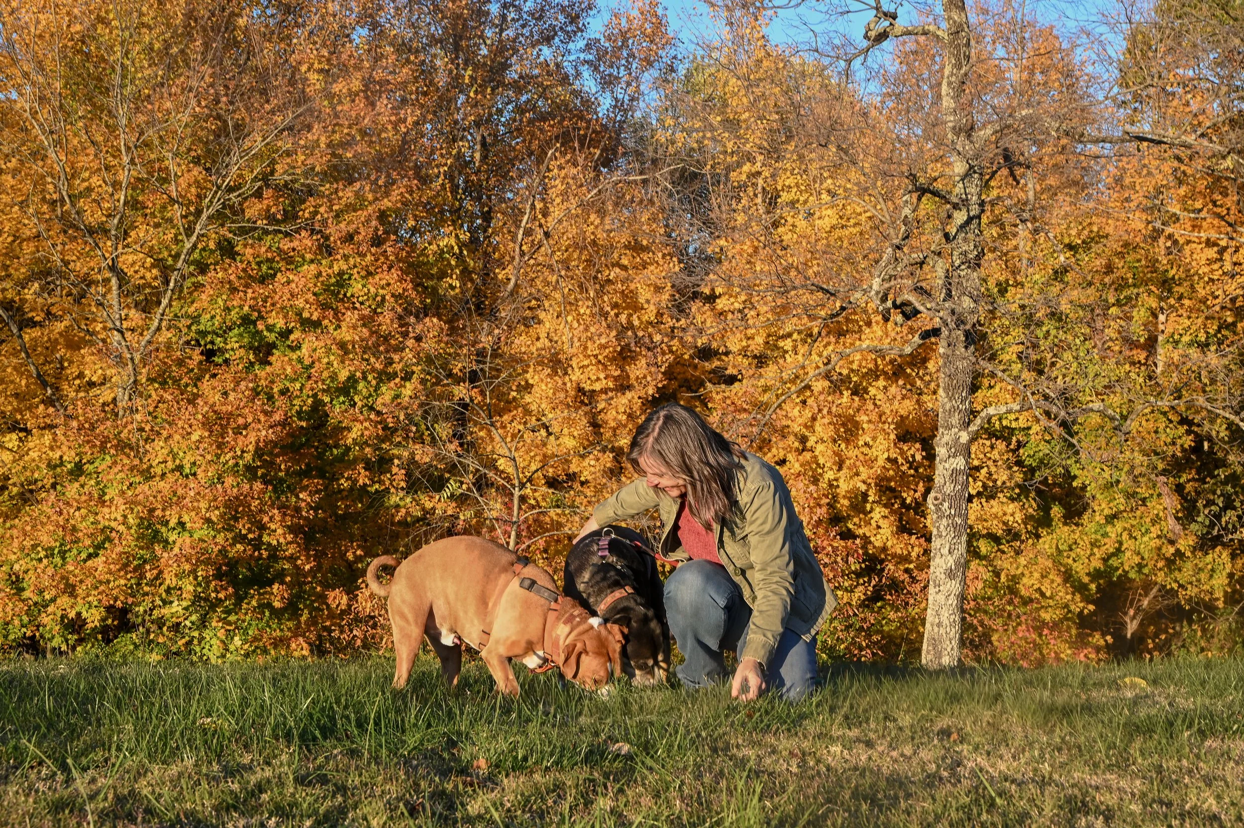 “Find It’ For Life Skills