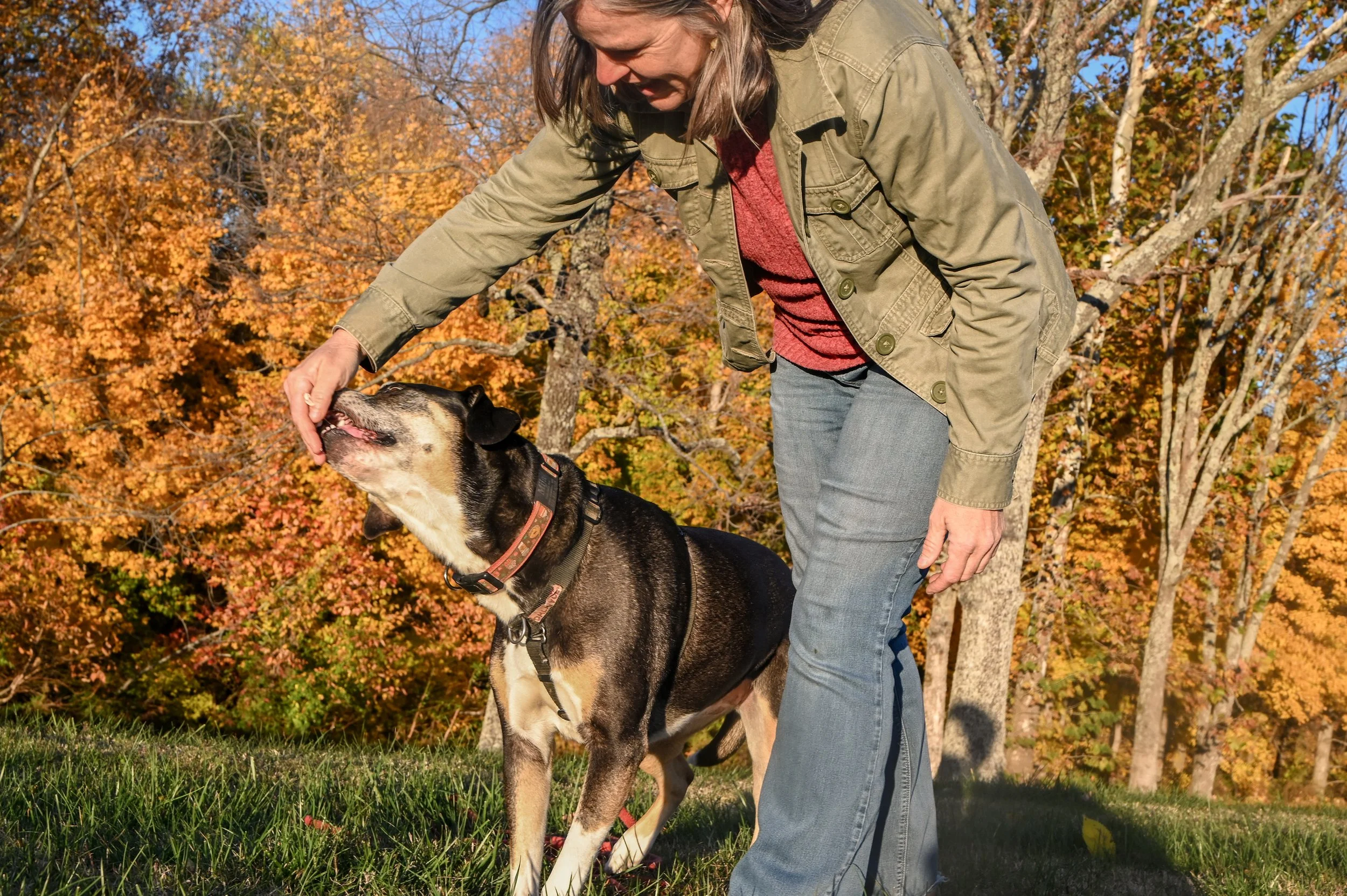 Treat Talk: Using Treats Effectively in Dog Training