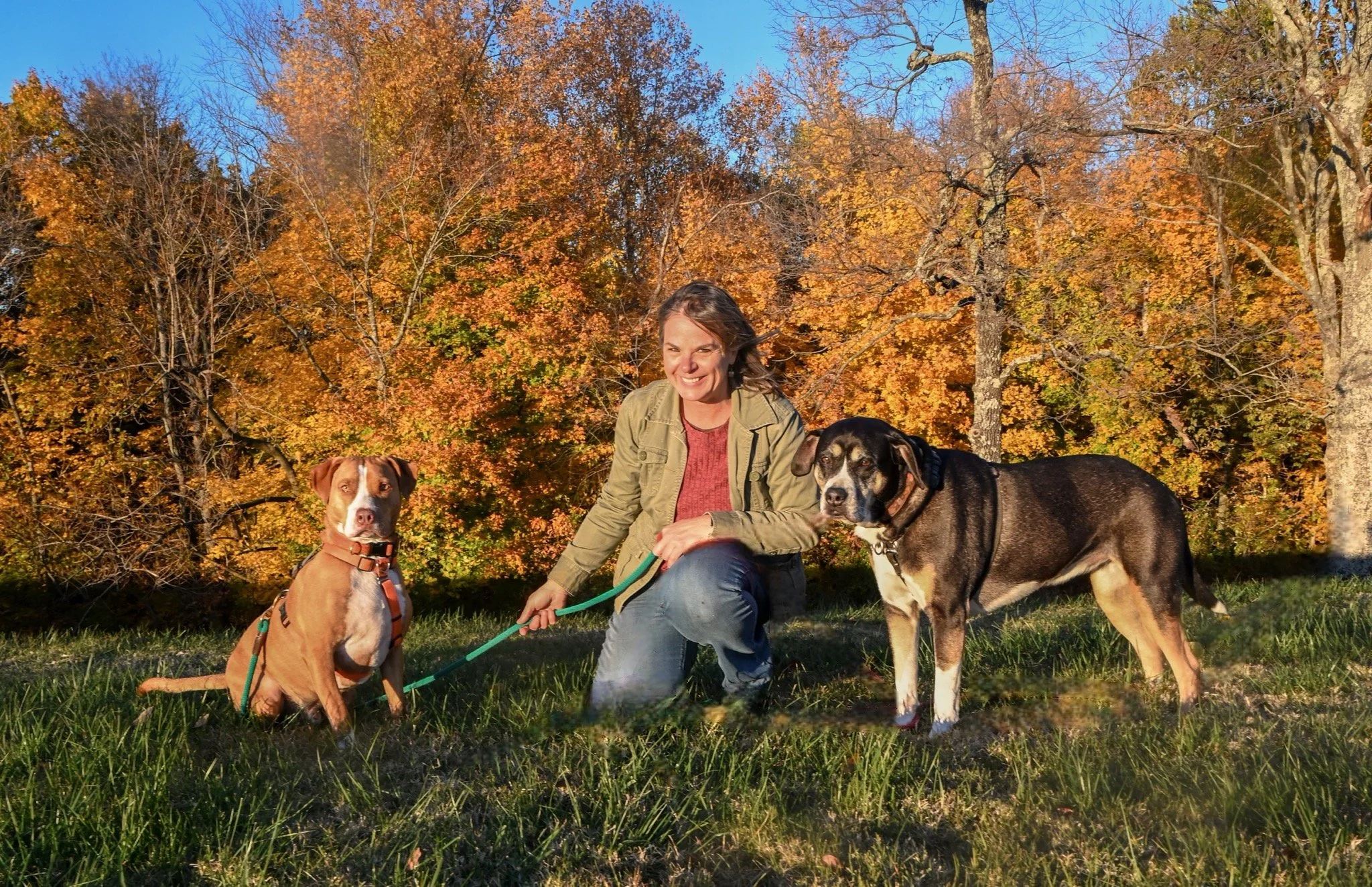 A woman smiling outdoors with two dogs in an autumn setting, colorful fall foliage in the background, wearing casual clothes.