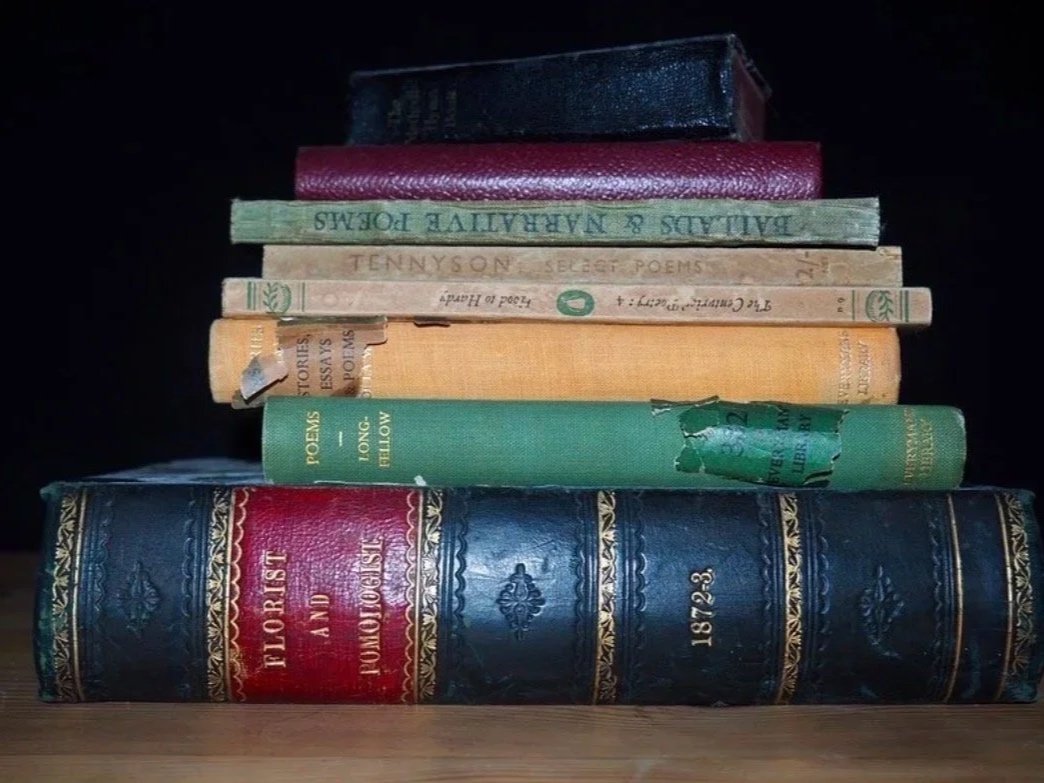 Why The Classics Matter
