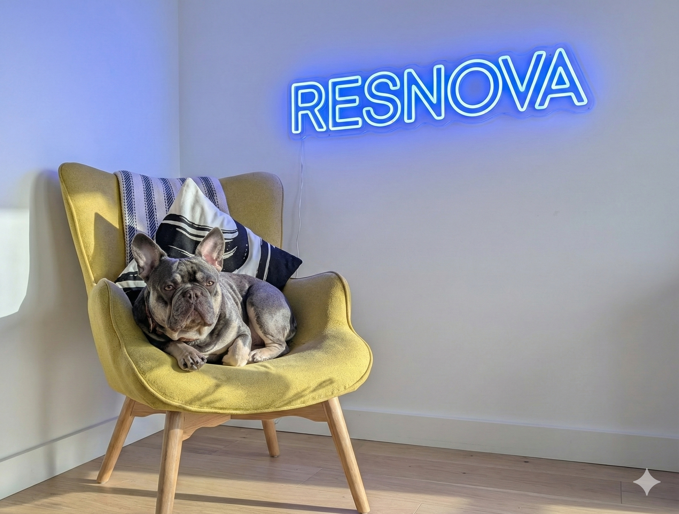Introducing Resnova: A New Chapter Begins