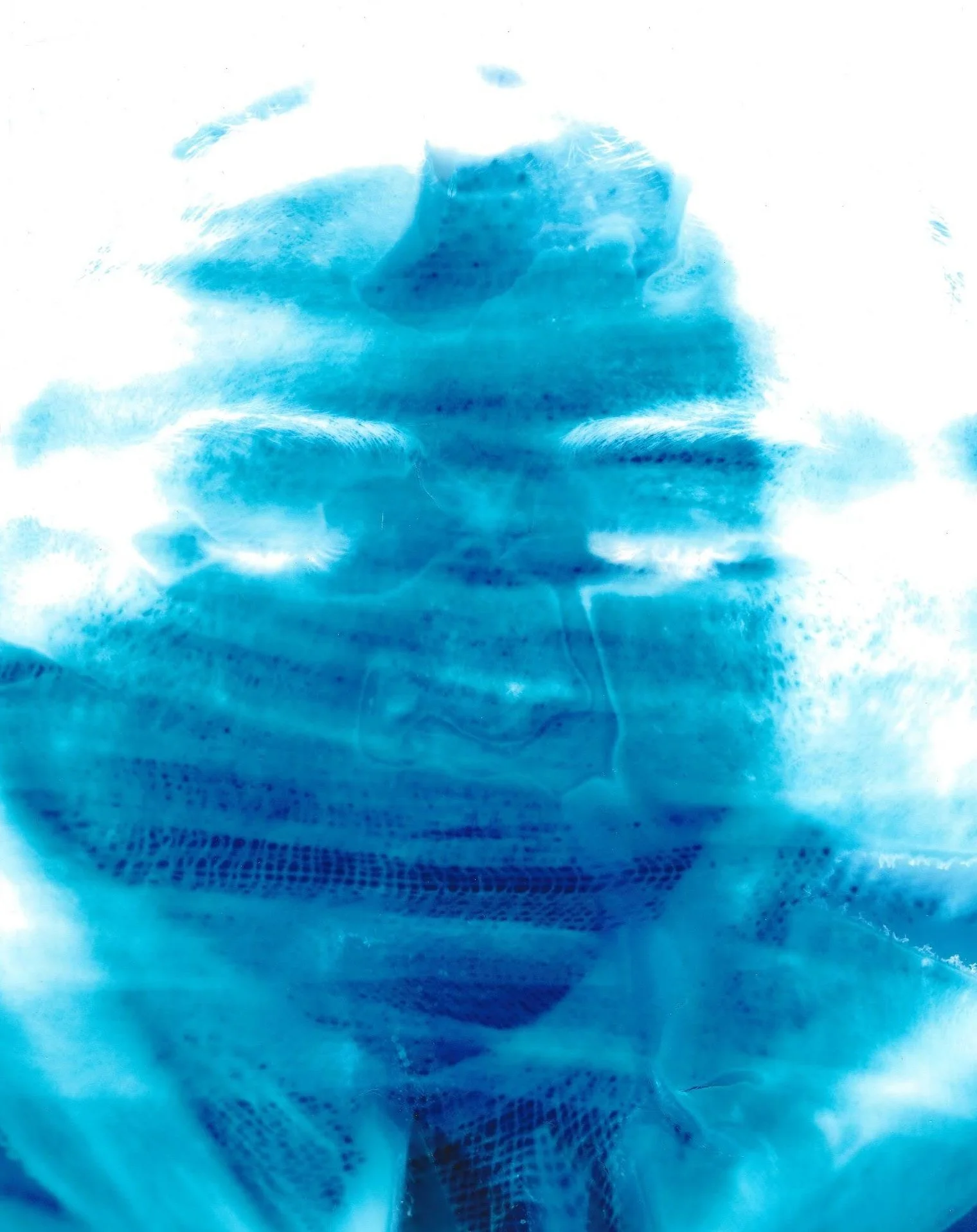 Untitled (Mesh Wrap II)