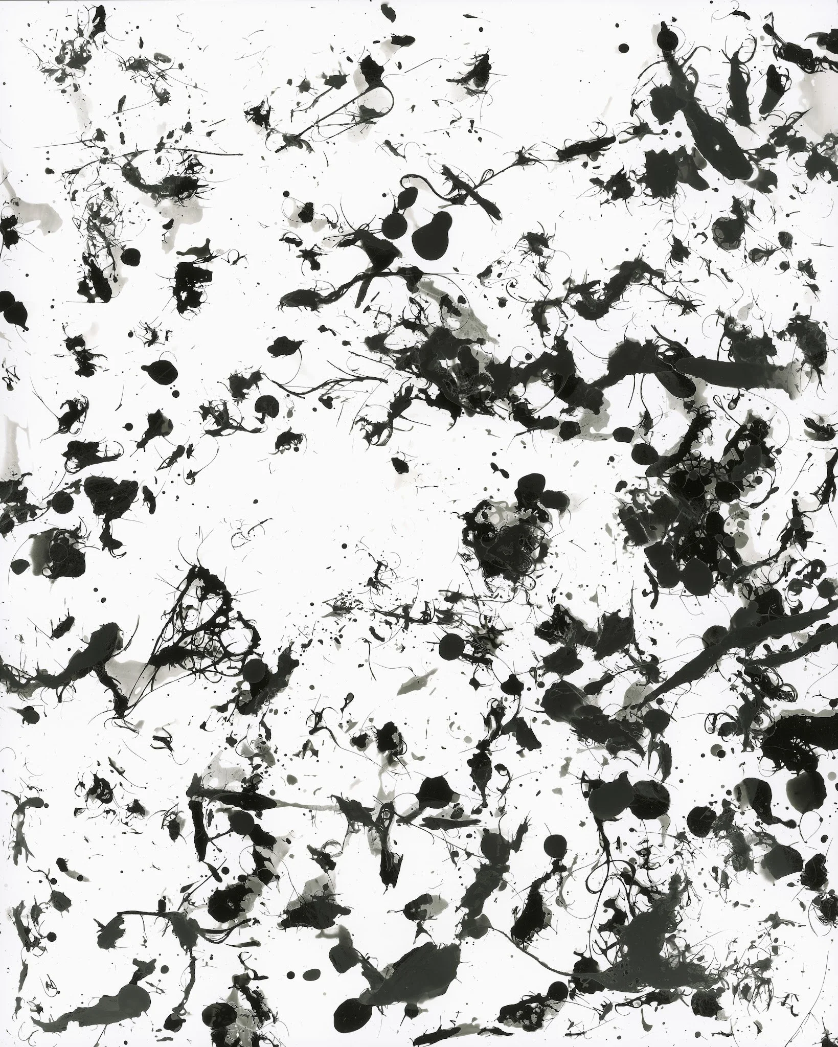 Untitled (C6)