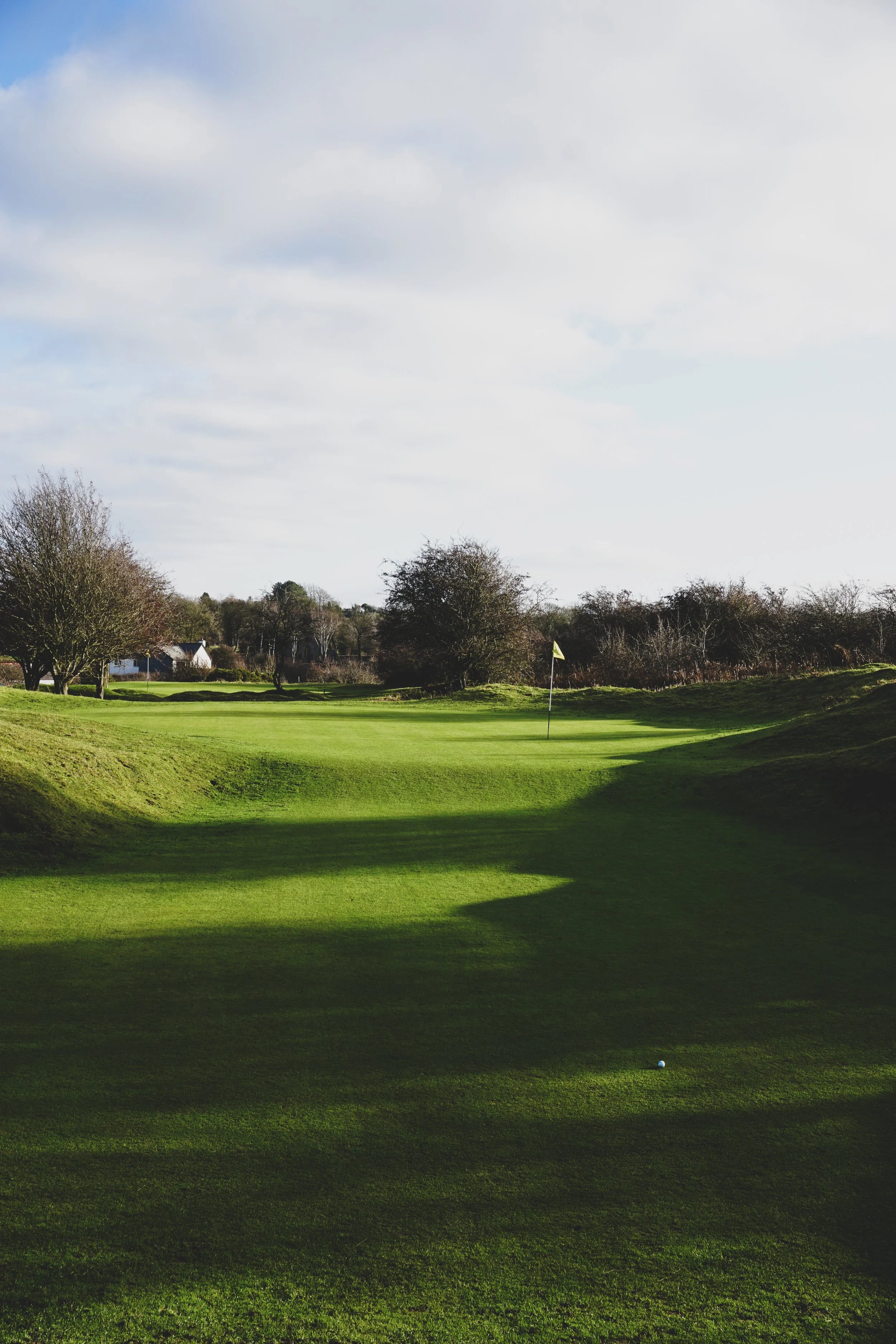 A golf course with a green, a flag, trees, and houses in the background under a partly cloudy sky.