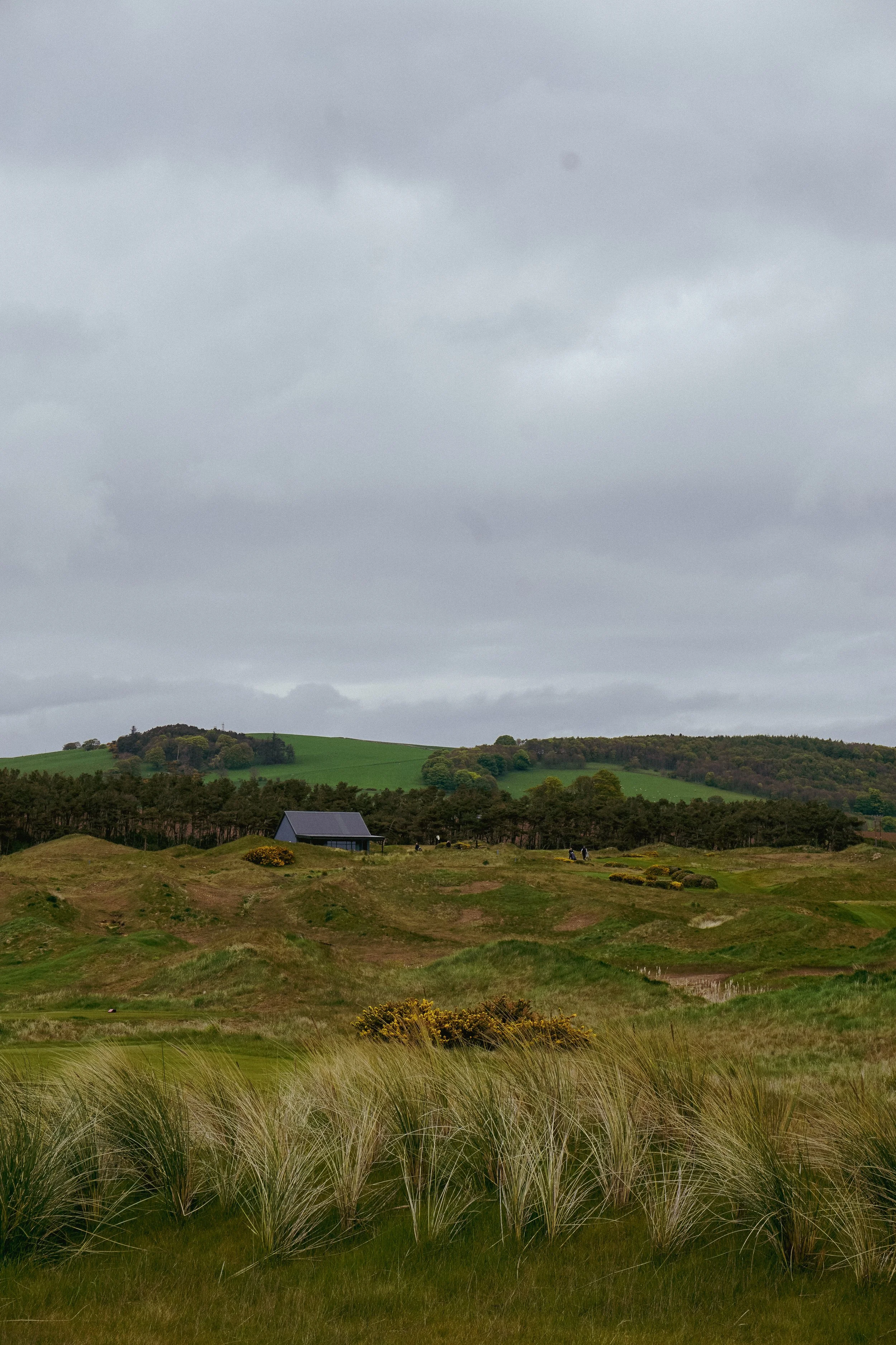 DSC05455.jpg