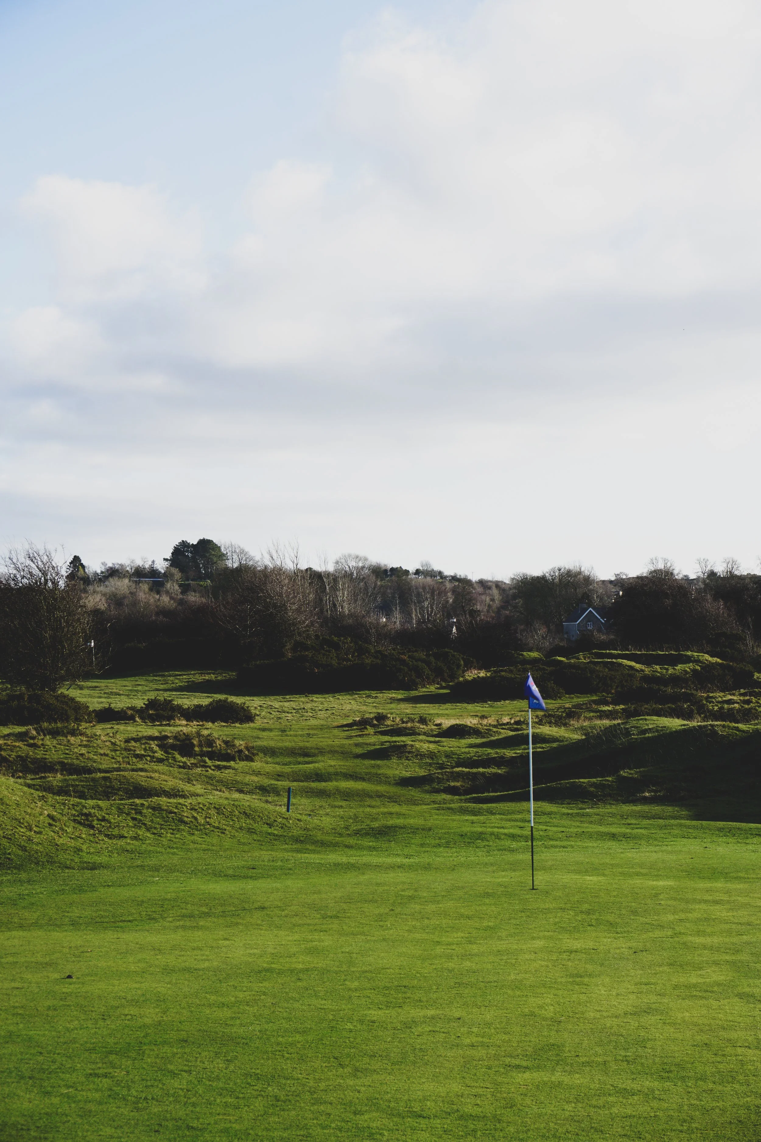 A golf course with green grass, a flag on the green, and trees in the background under a partly cloudy sky.