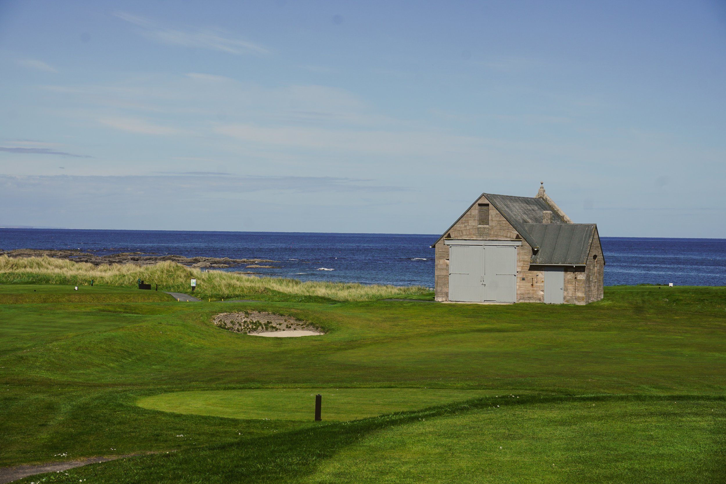 DSC05534.jpg
