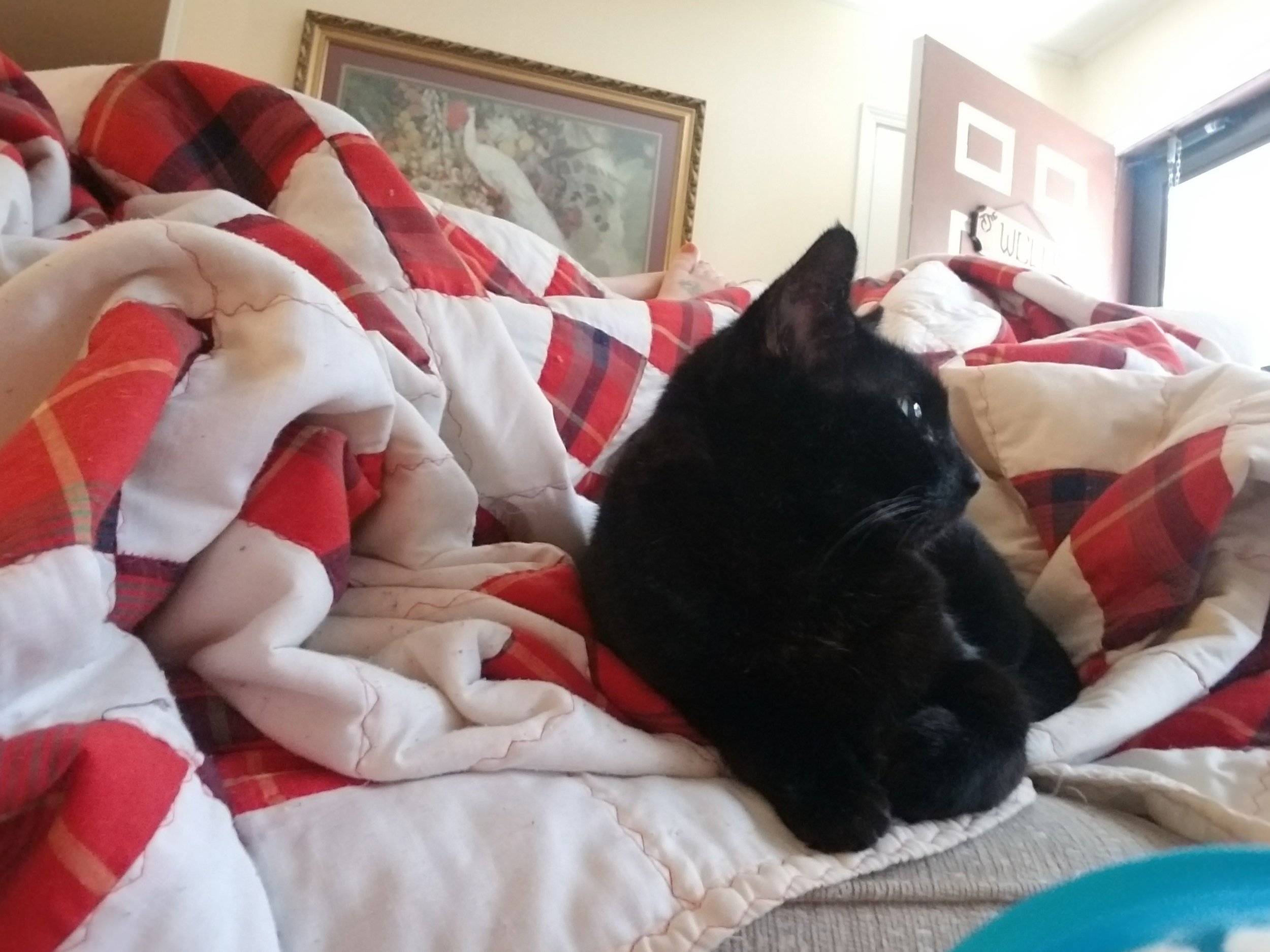 Business Closed: Holiday Break