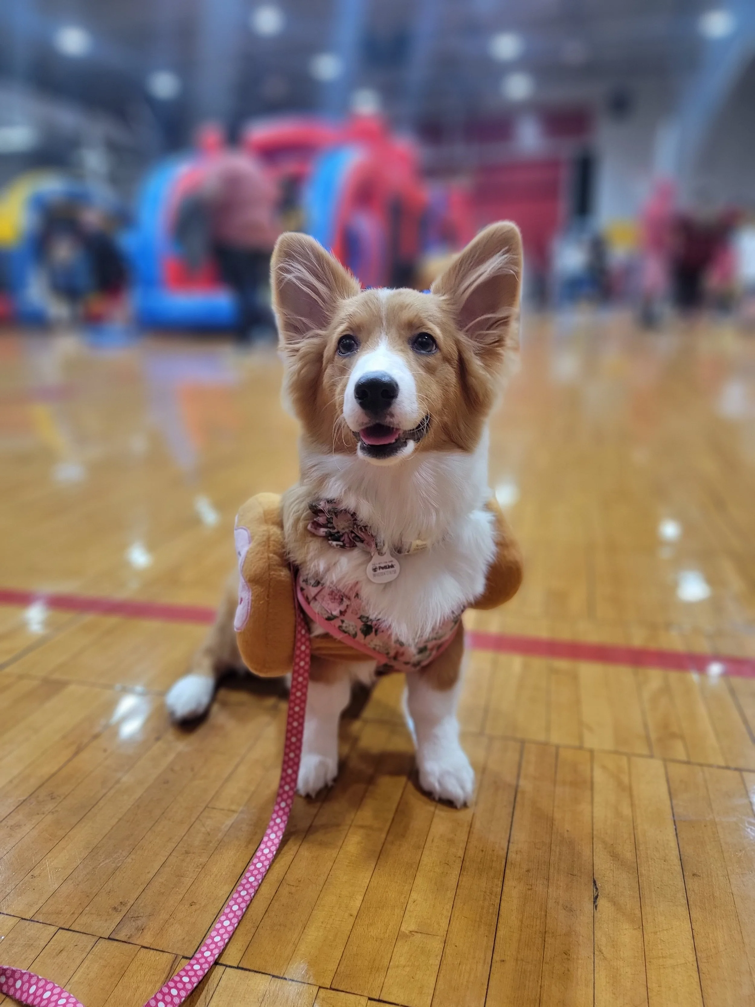 Busiest Time of the Year: Spring Break