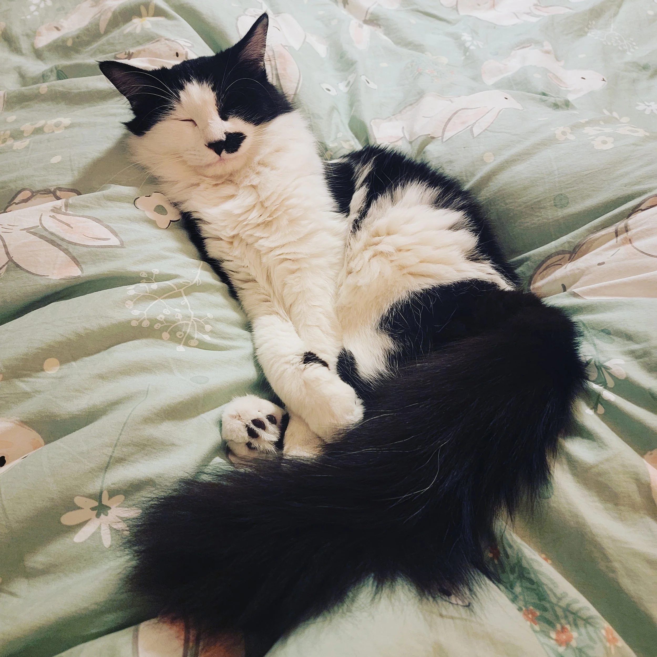 Fourth of July Weekend