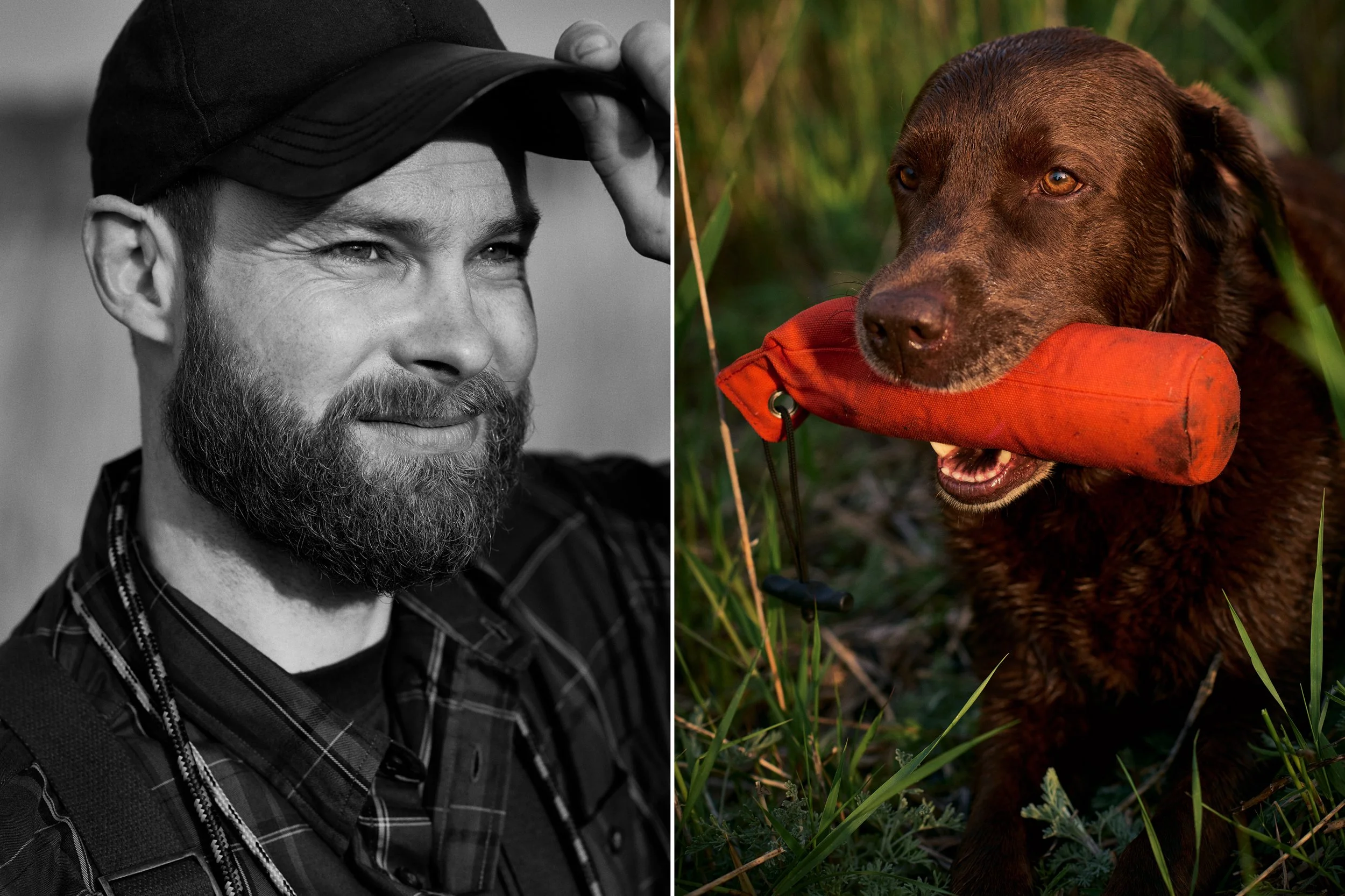 Left: Portrait of man in outdoor setting, direct gaze
Right: Hunting dog holding training dummy in mouth, focused working moment