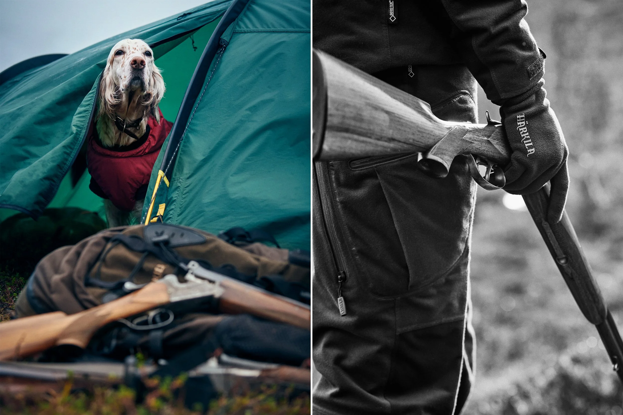Left: Hunting dog resting inside tent, close-up detail
Right: Hunter holding rifle, black and white detail of gear and hands