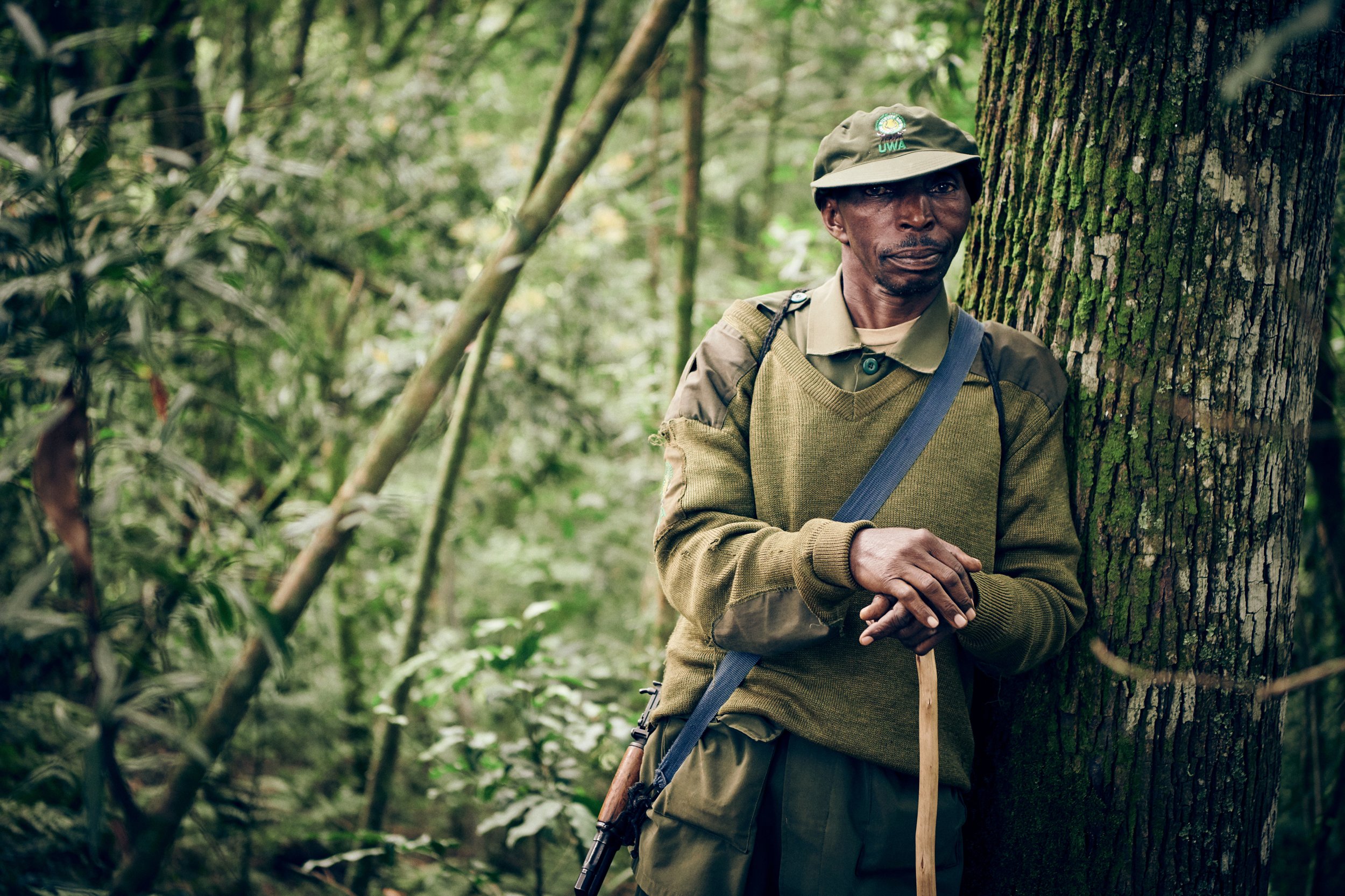 Ranger standing by tree in forest holding stick, quiet moment during patrol