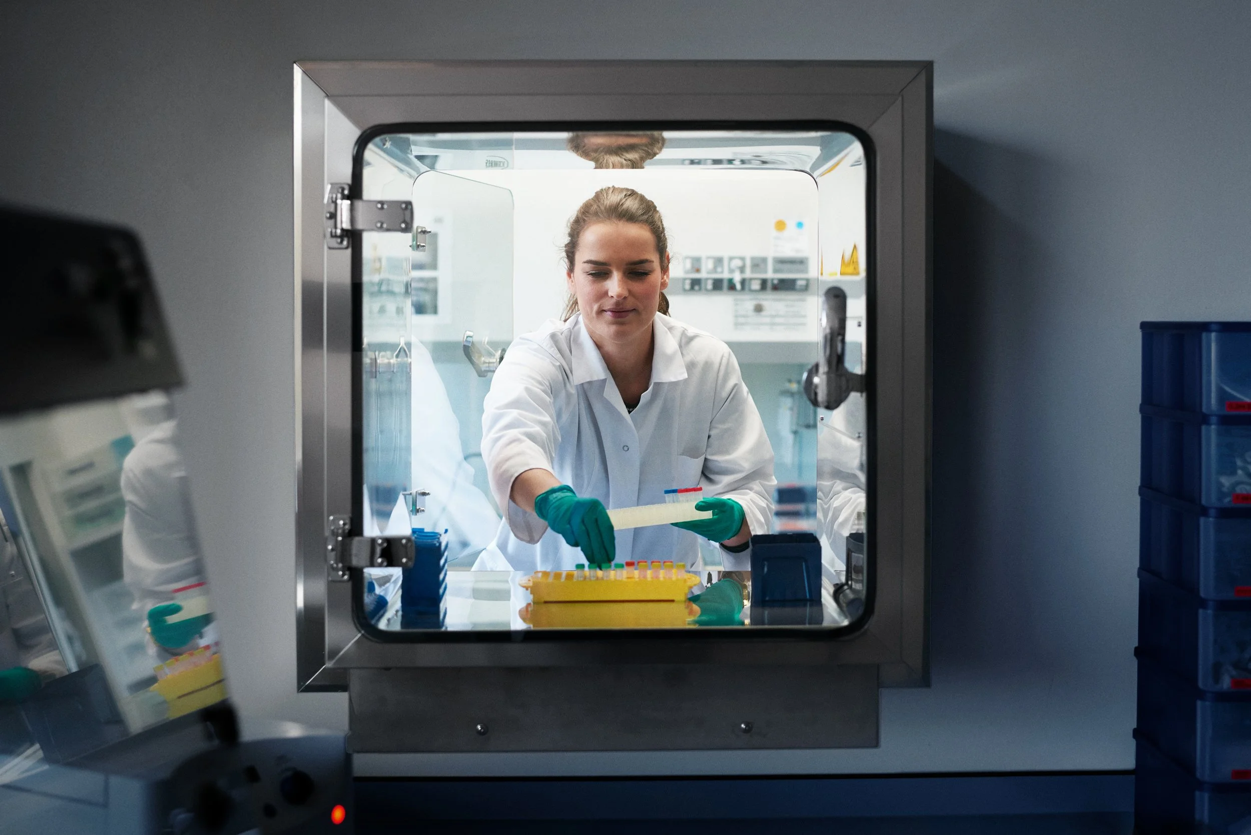 Technician working inside biosafety cabinet, handling samples under controlled conditions