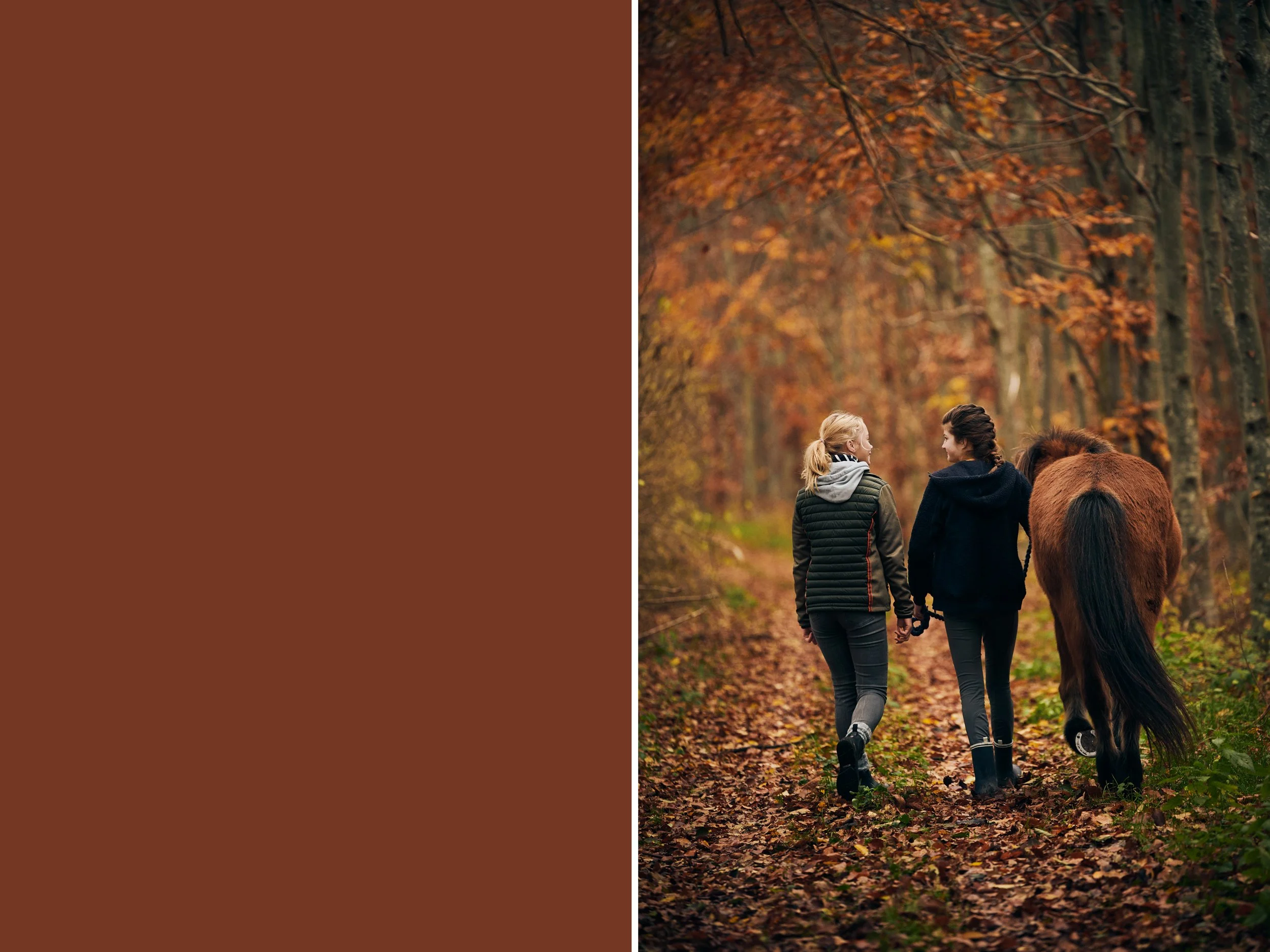People walking with horse in forest, autumn lifestyle