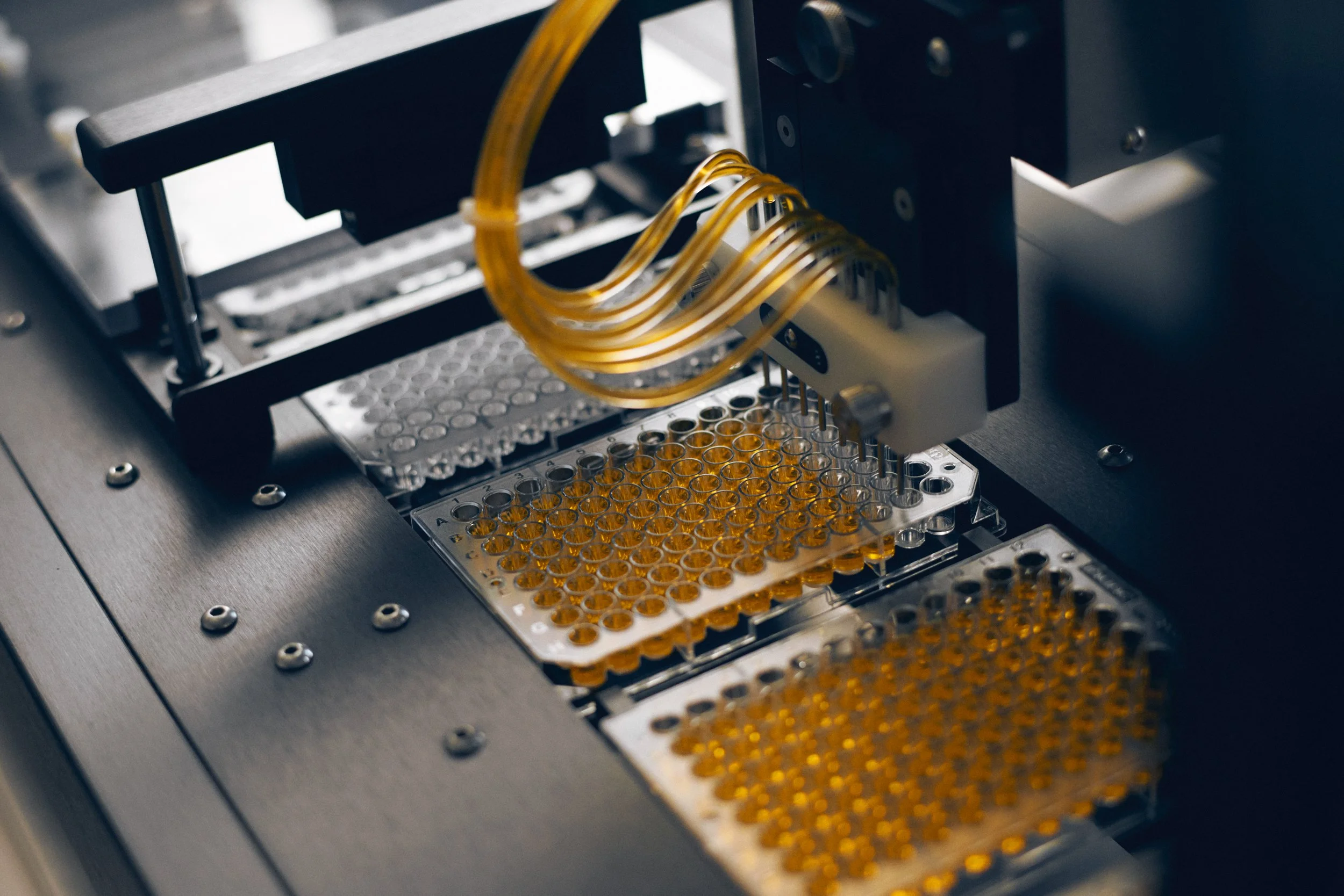 Automated system dispensing liquid into sample plates, high-throughput analysis process