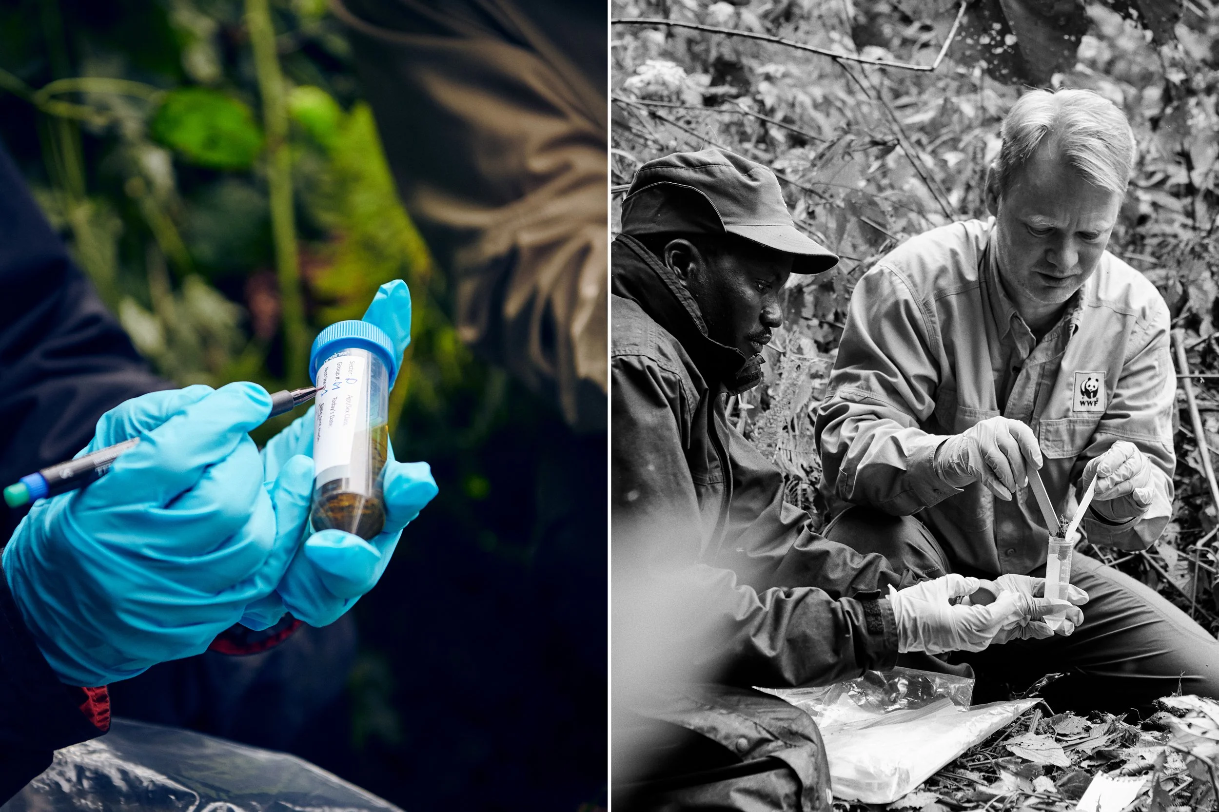 Left: Gloved hand holding sample tube, scientific data collection in field
Right: Two researchers examining sample together, detailed field analysis