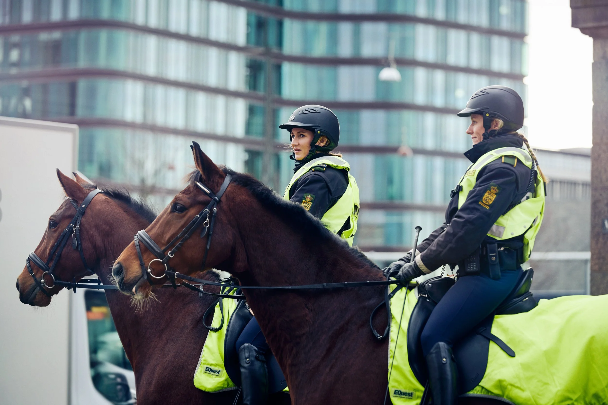 Two mounted police officers on horses in city environment