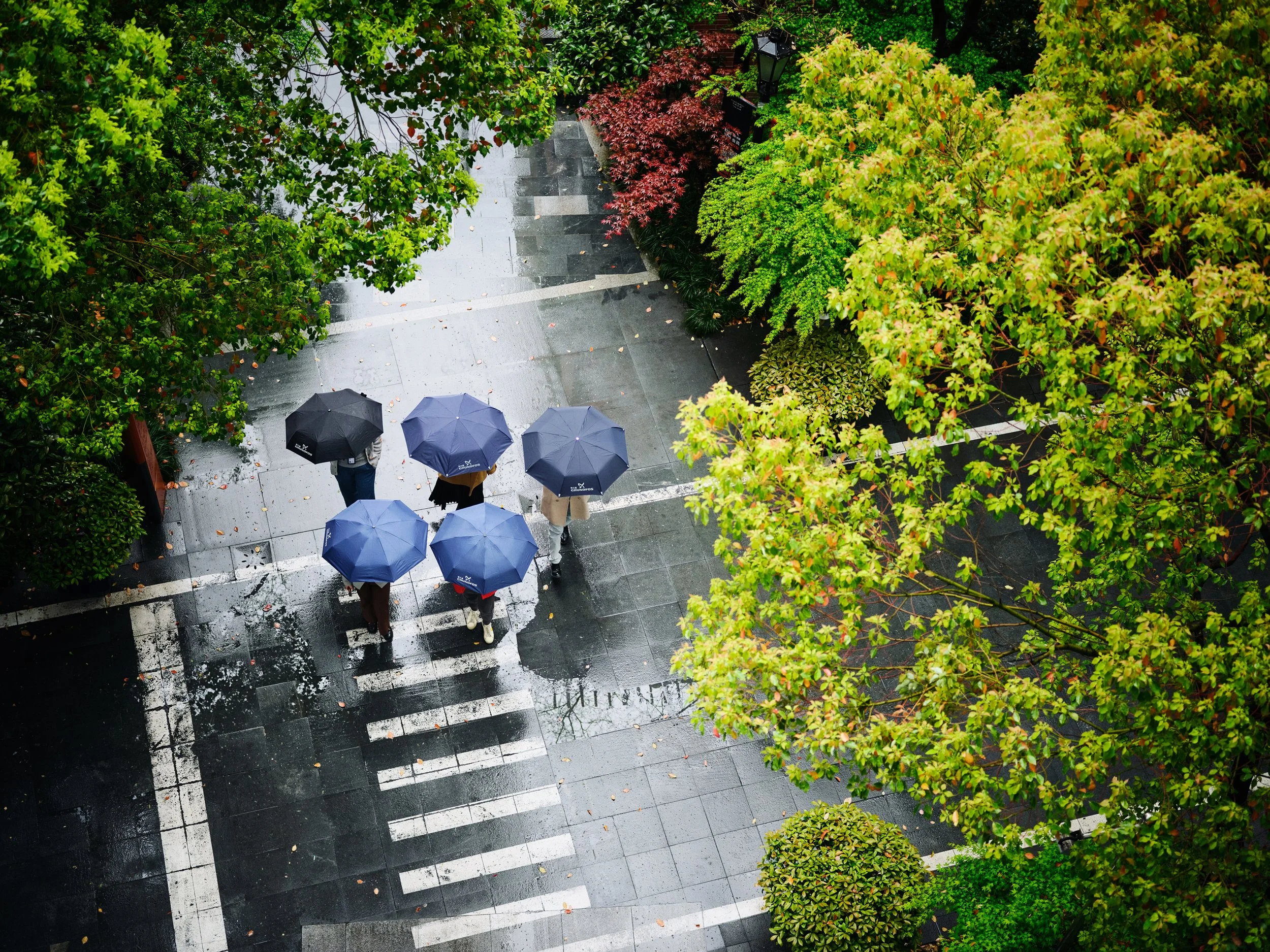 People walking with umbrellas across wet street seen from above, urban environment in rain