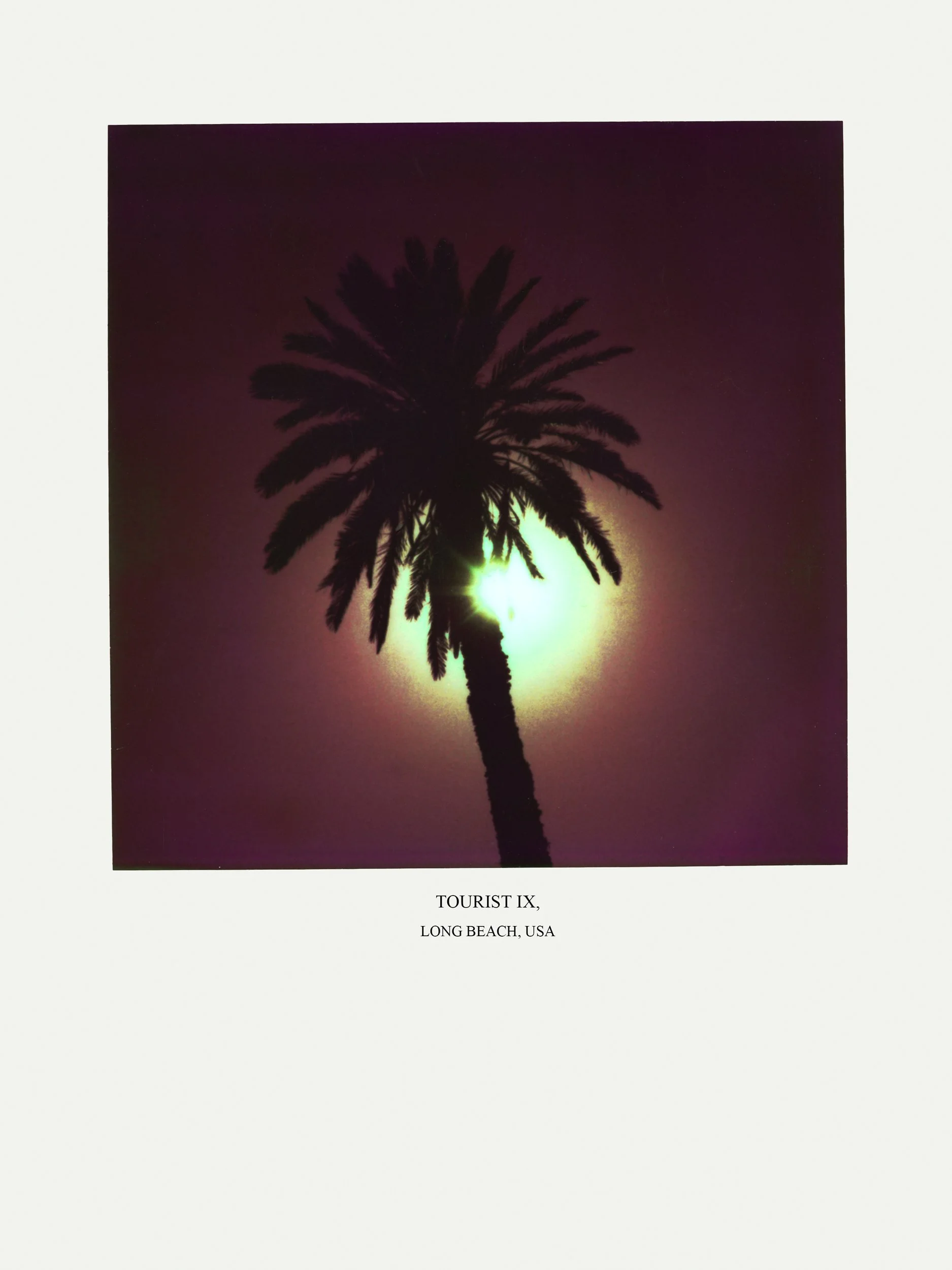 TOURIST IX - Polaroid