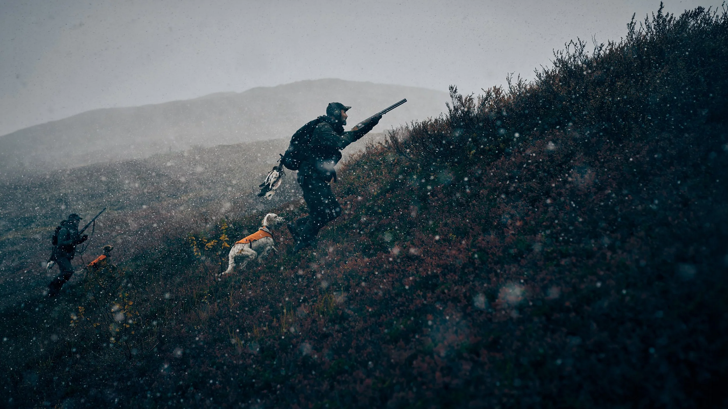 People hiking on a hillside in rainy weather, accompanied by a dog.