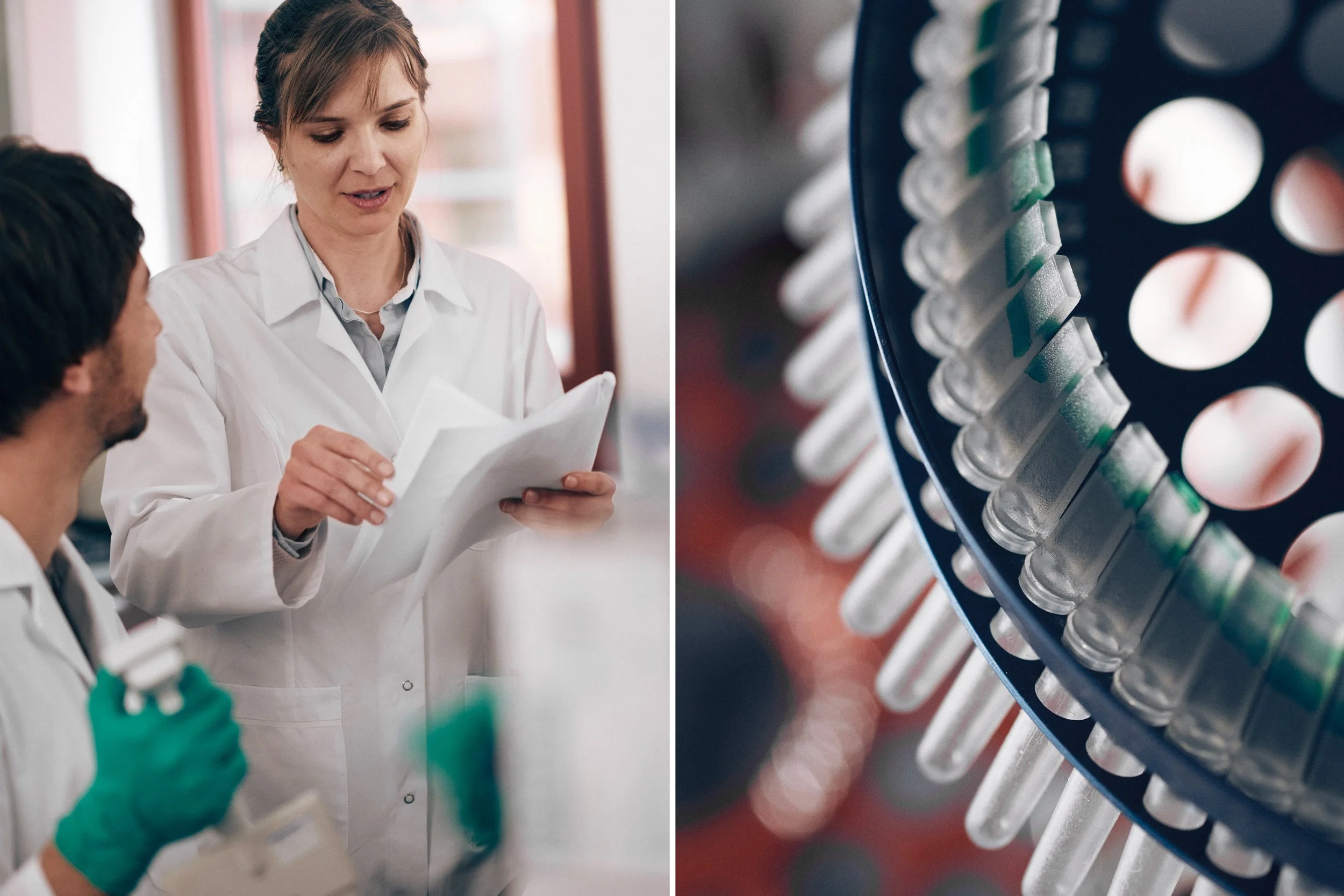 Researcher reviewing data with colleague in lab, coordinating analysis and workflow