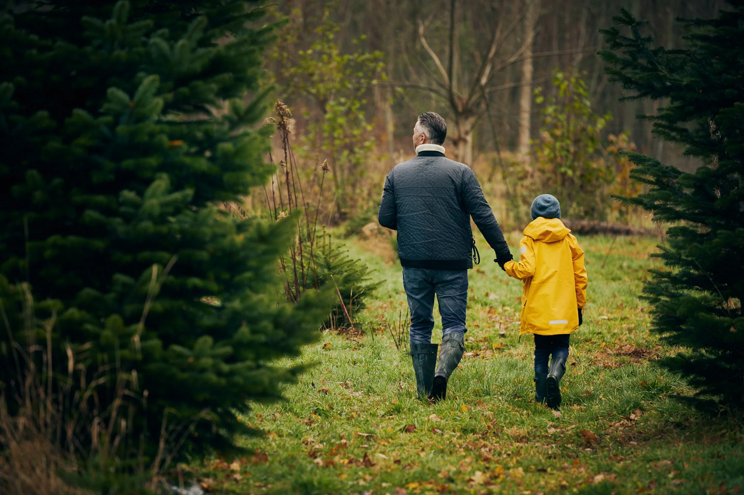 Adult and child walking in forest, autumn outing