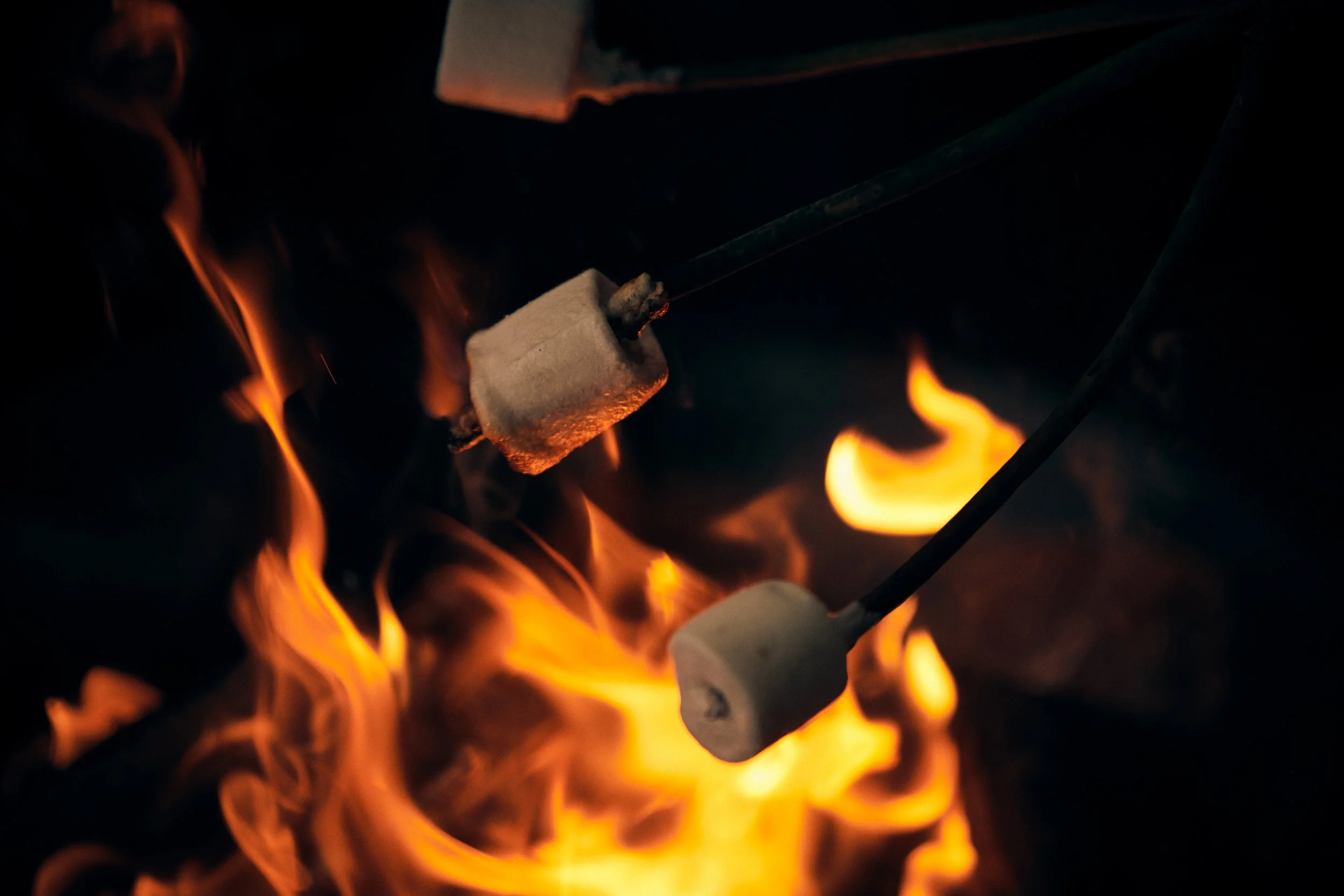 Marshmallows roasting over fire, outdoor food moment