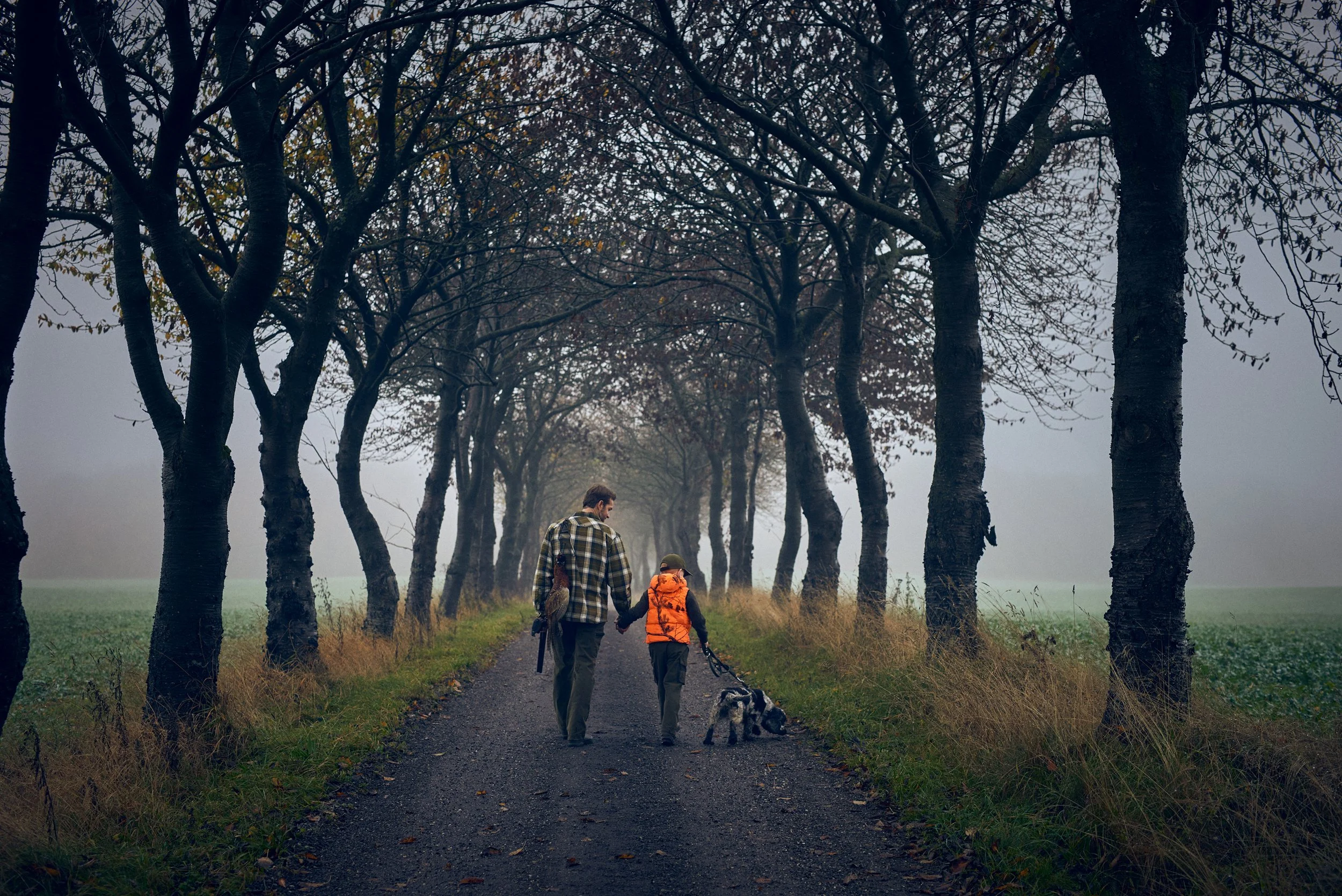 Adult and child walking with dog along tree-lined path, shared outdoor activity
