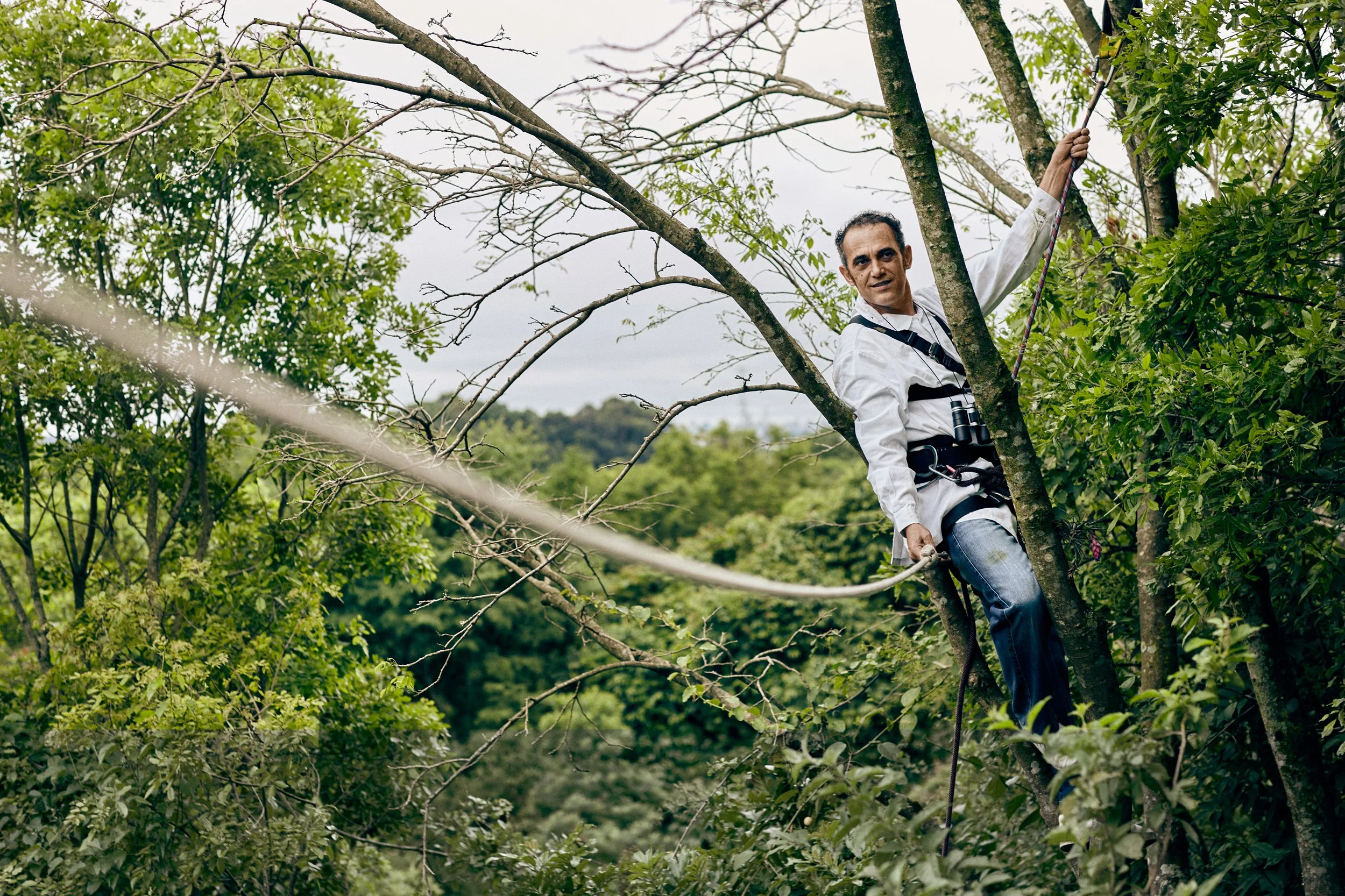 Researcher collecting samples in forest, field-based bioscience and environmental data collection