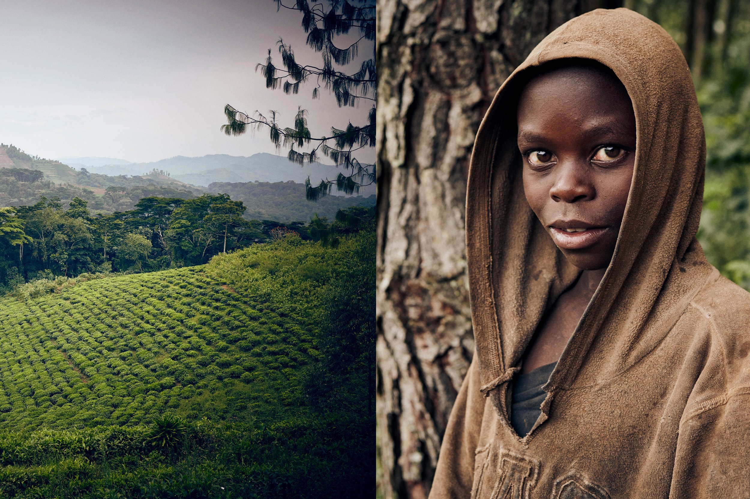 Left: Plantation landscape stretching into hills, cultivated terrain
Right: Portrait of child wearing hooded garment standing by tree, direct gaze