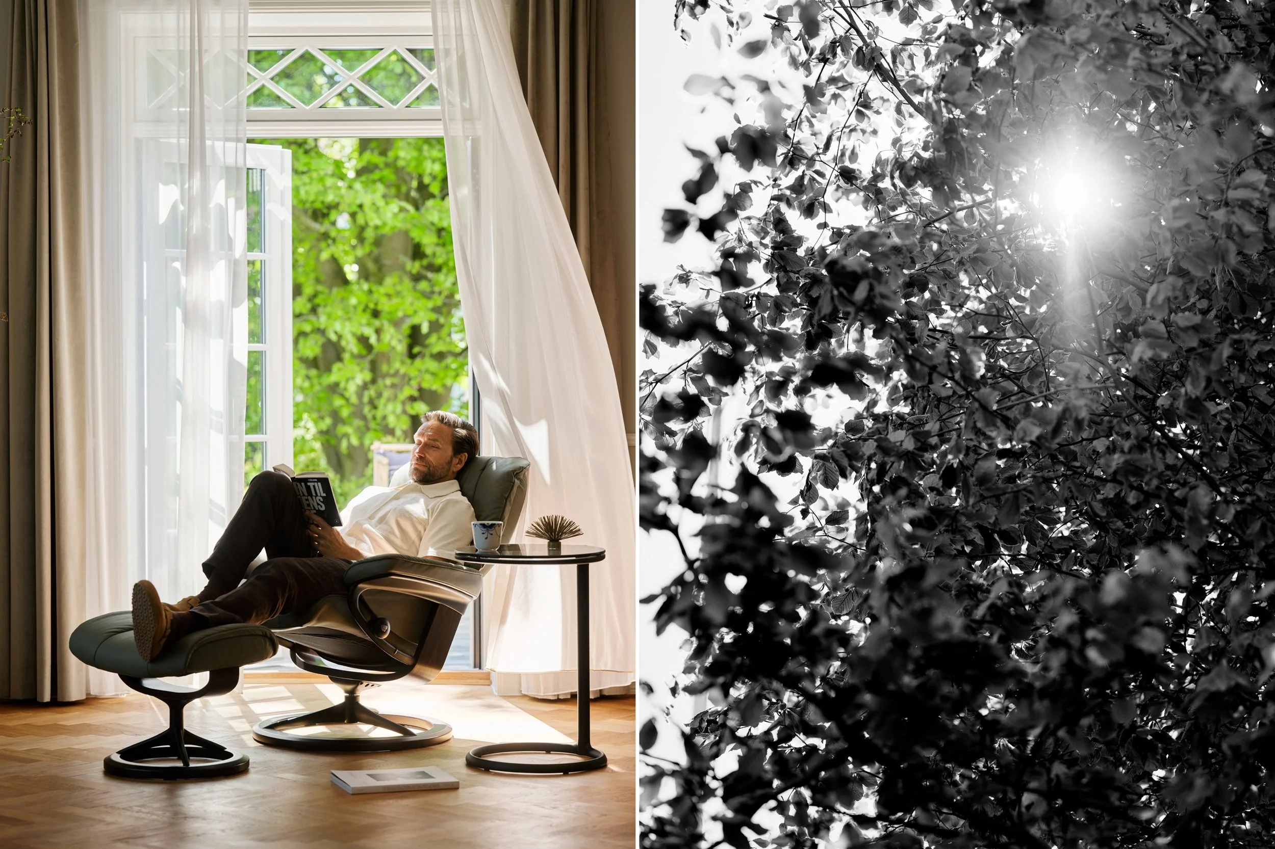 Left: Man reclining in chair by open window reading book, calm interior moment
Right: Sunlight filtering through leaves, abstract natural light pattern