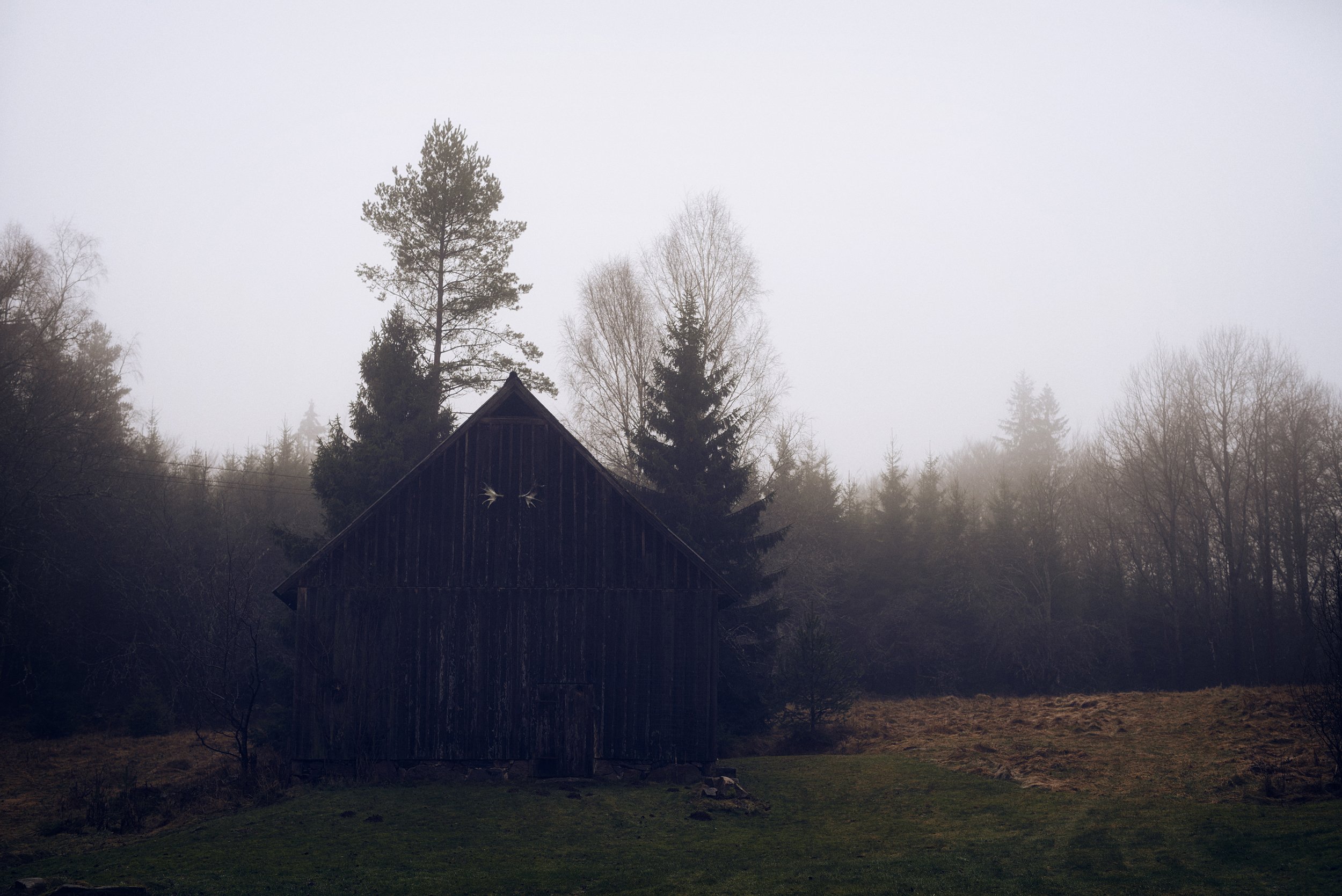 Isolated cabin in misty landscape, early morning atmosphere in forest clearing
