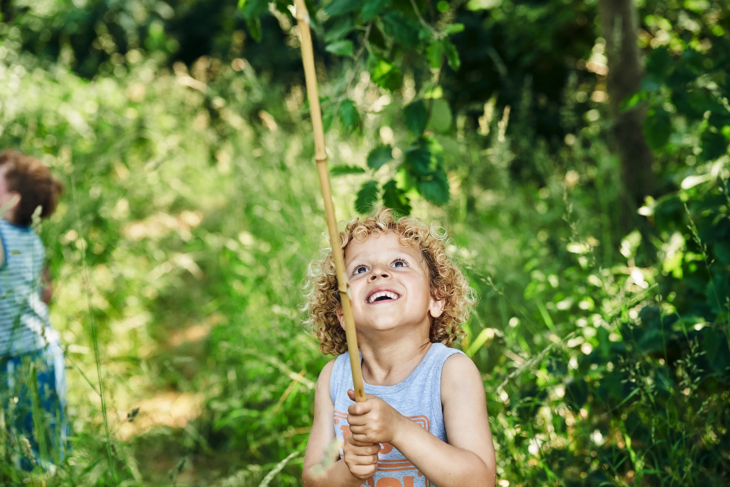 Child playing in forest, outdoor summer activity