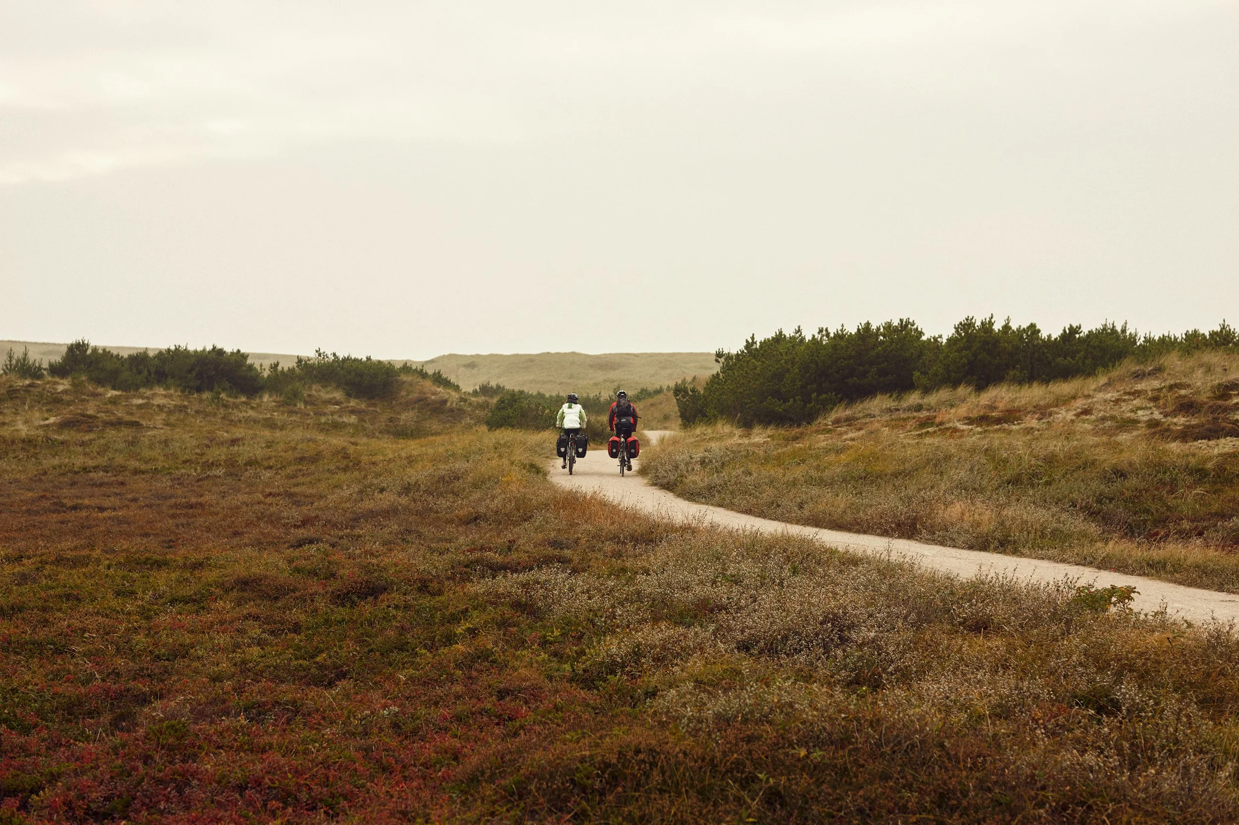 Two cyclists riding along path through open landscape, travel and movement