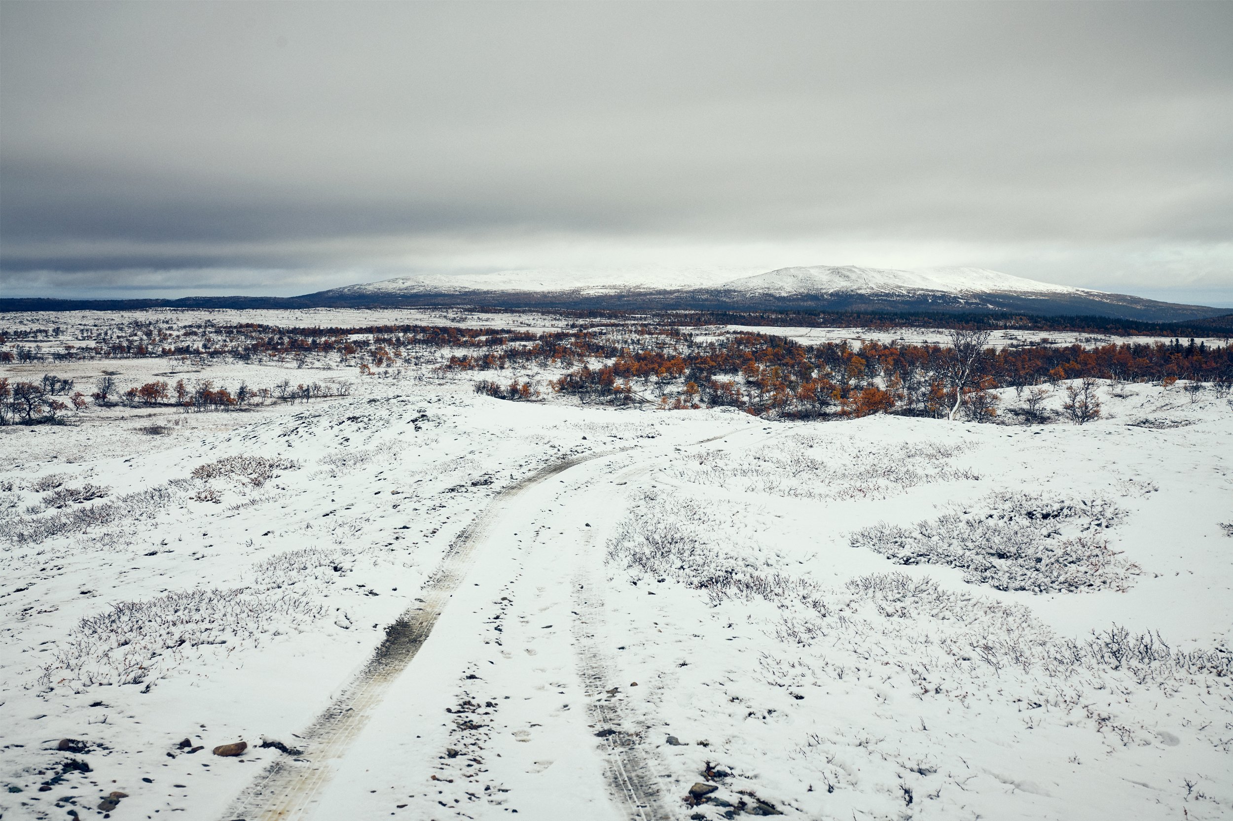 Snow-covered track leading through open landscape, empty and exposed terrain