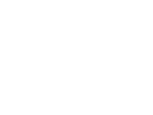 Scale Tax