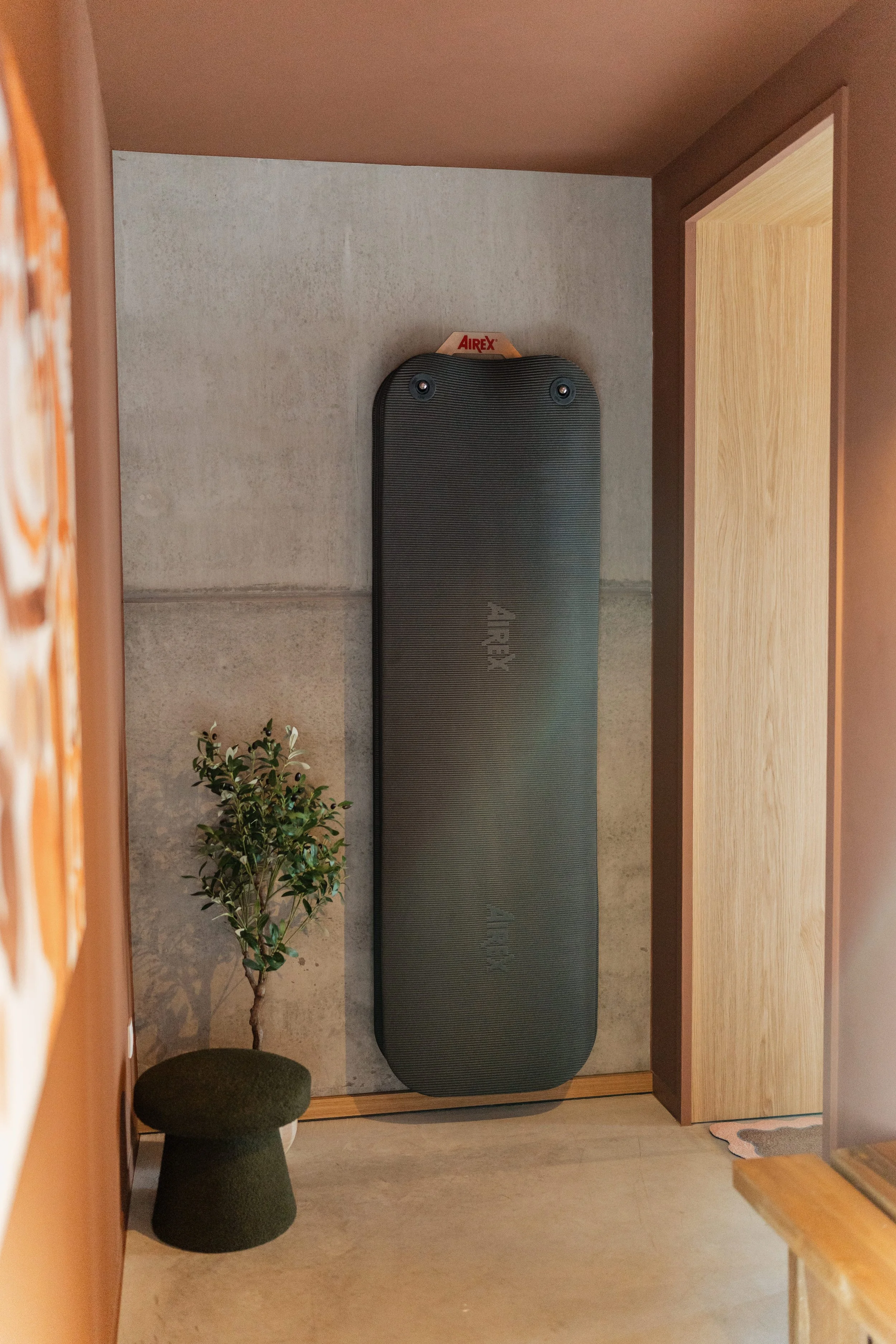 Pilates mats are hanging up against a wall in a room with a potted plant and a small stool nearby.