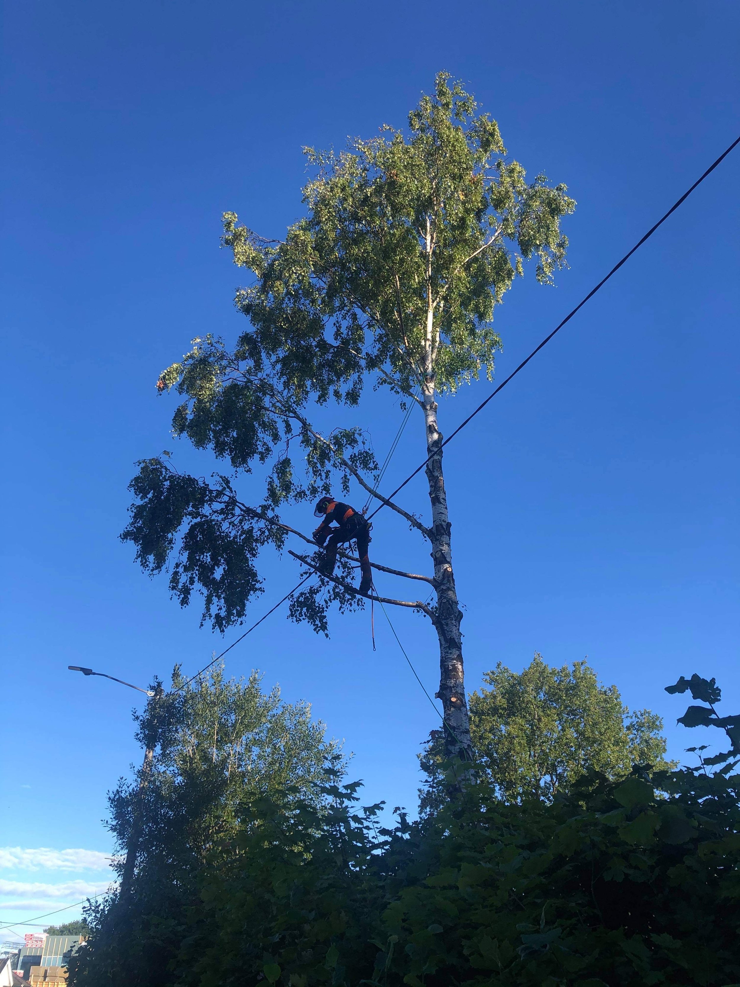 Oranssi technician working on a roof project