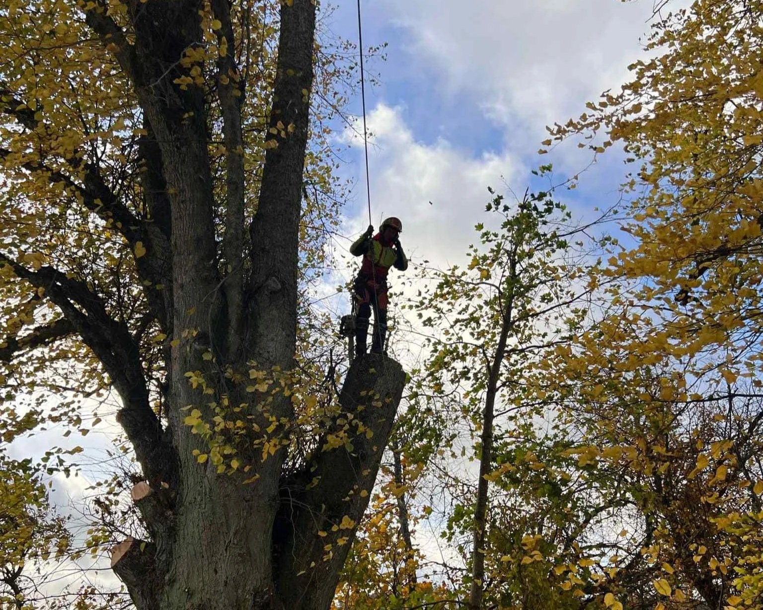 Oranssi previous project