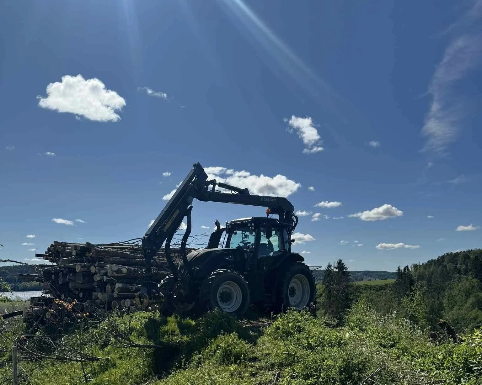 A tractor with a log grapple attachment, working in a clearing with logs on its front, surrounded by greenery and a blue sky with scattered clouds.