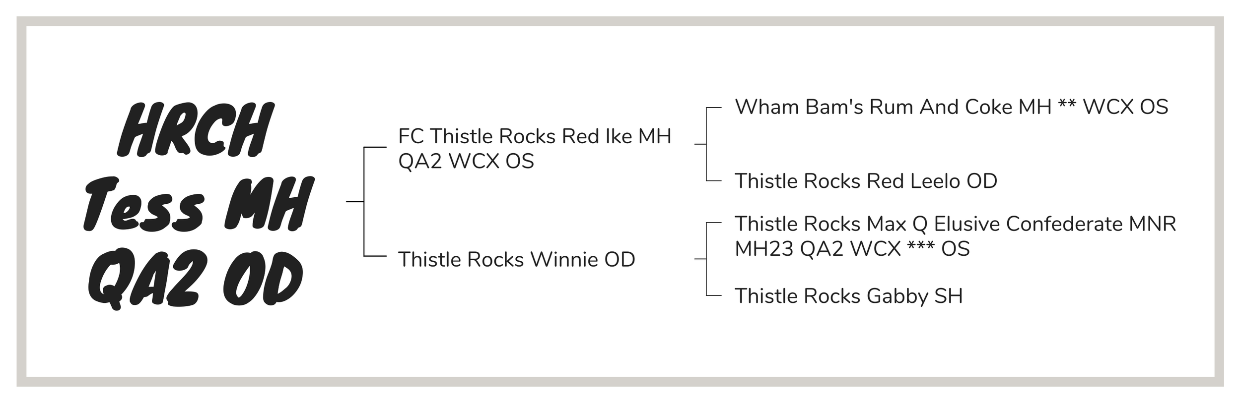 A family tree chart for a plant with scientific and common names, showing the relationship between different varieties of a plant