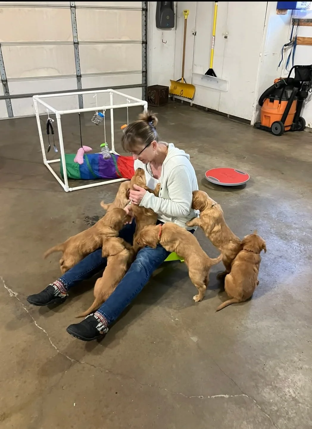A woman with glasses sitting on the ground in a garage playing with six golden retriever puppies around her.