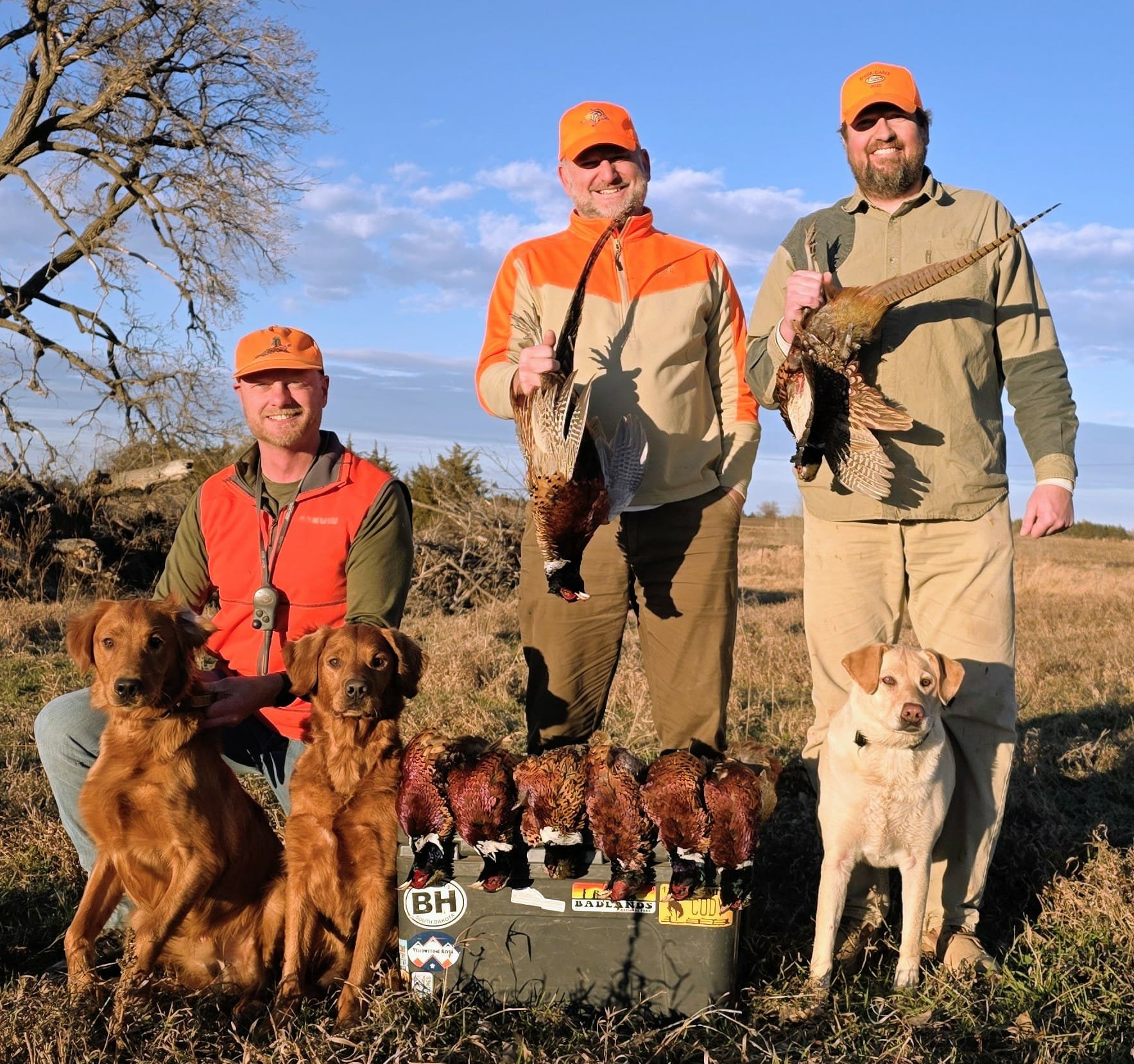 Three men with hunting gear standing outdoors in a field, holding hunted birds, with four hunting dogs sitting in front. The men are smiling, and the scene is set during daylight with a clear sky and some trees in the background.