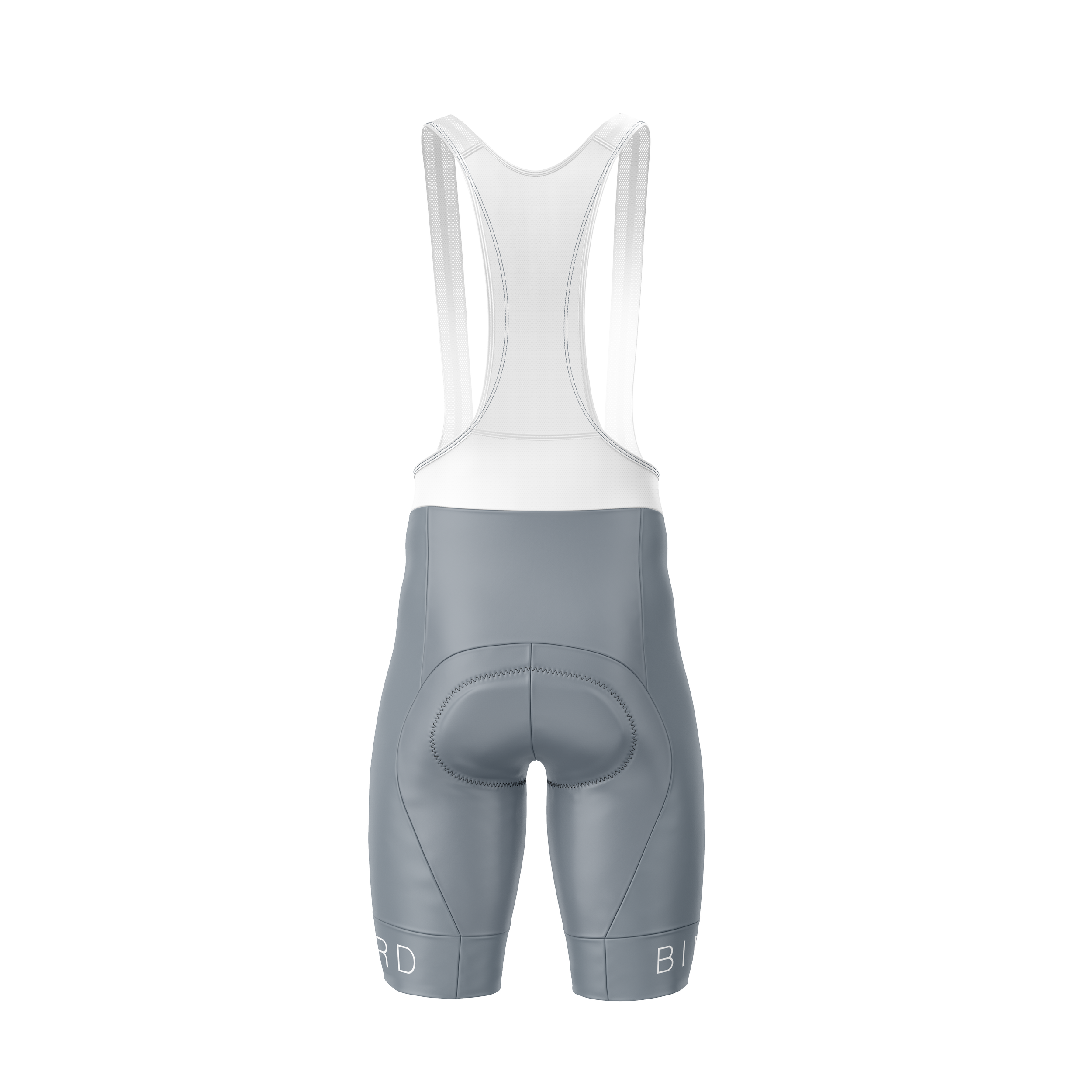 D02A2M - Back (V2).png