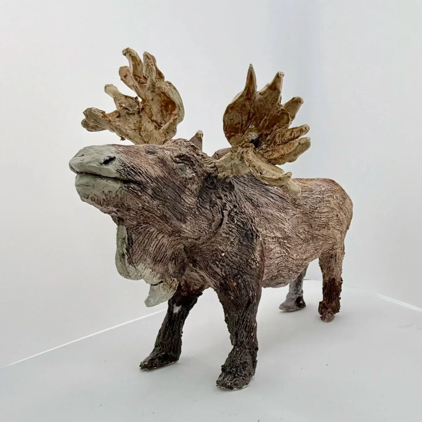 Mr. Moose - 650 kr