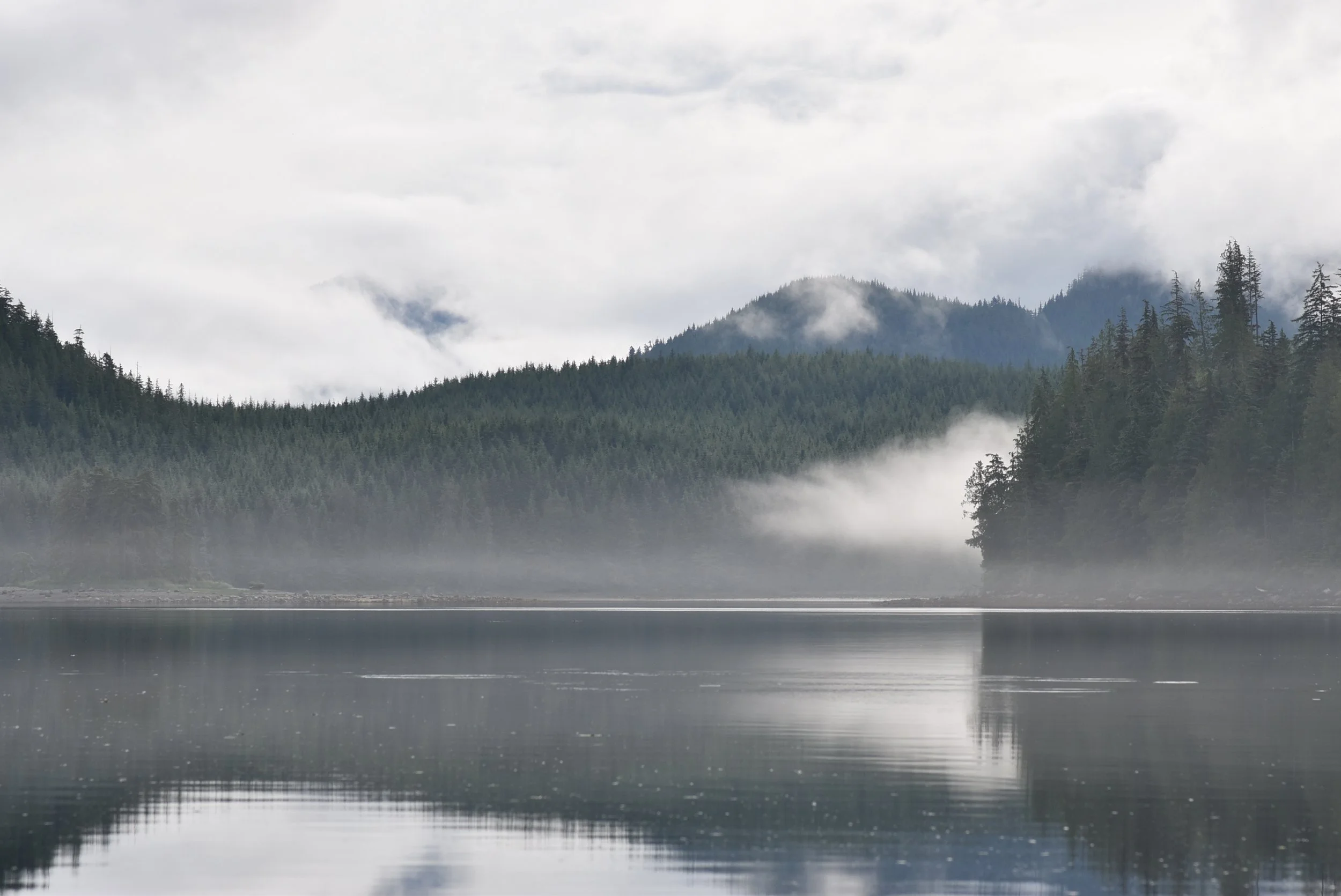 A calm lake with a misty shoreline, surrounded by lush green pine trees, with fog hovering over the water and hills in the background under a cloudy sky.