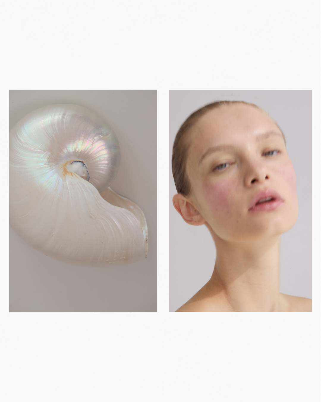 Close-up of a iridescent seashell on the left and a portrait of a woman with short hair and minimal makeup on the right.